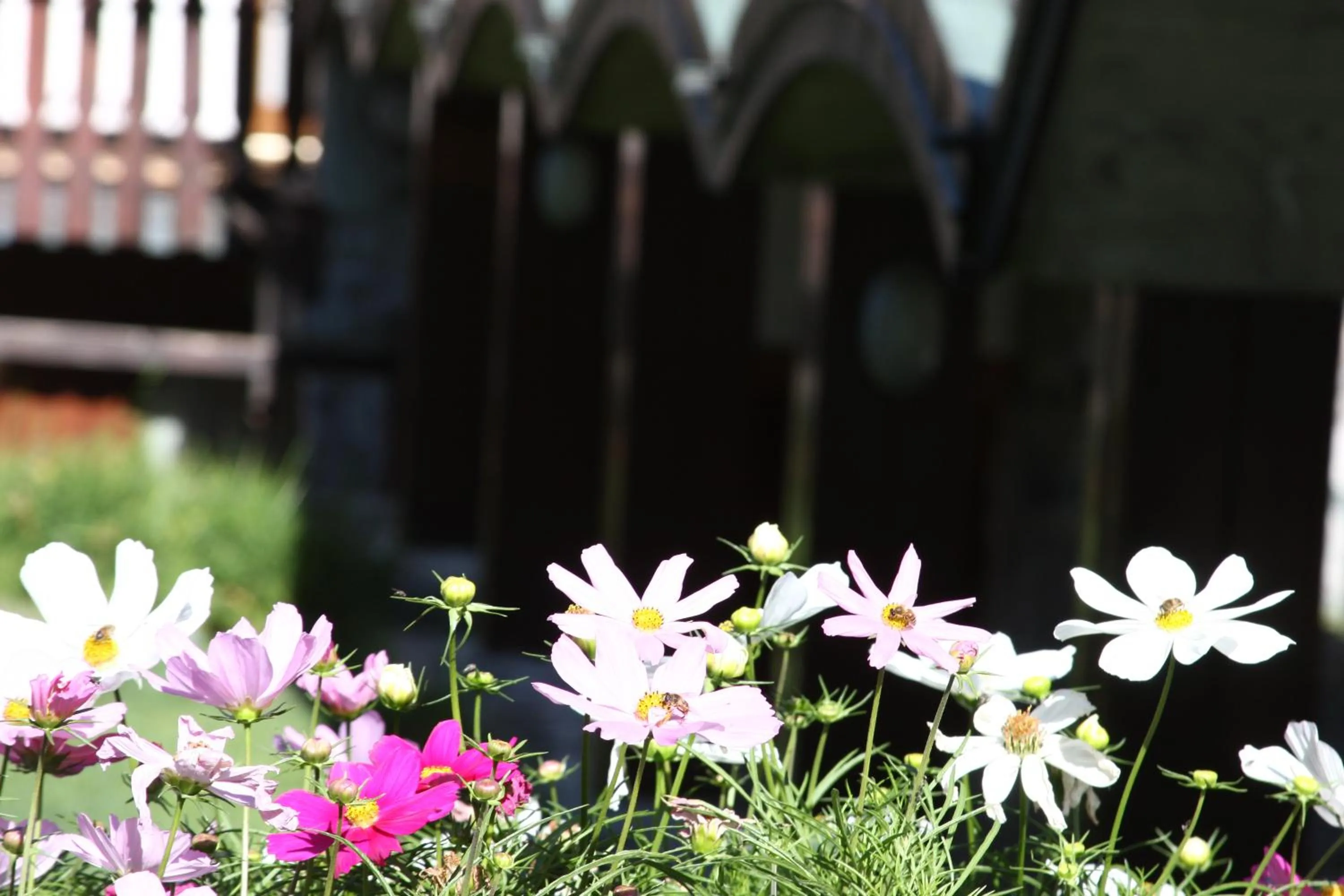 Garden in Residence Les Coupoles