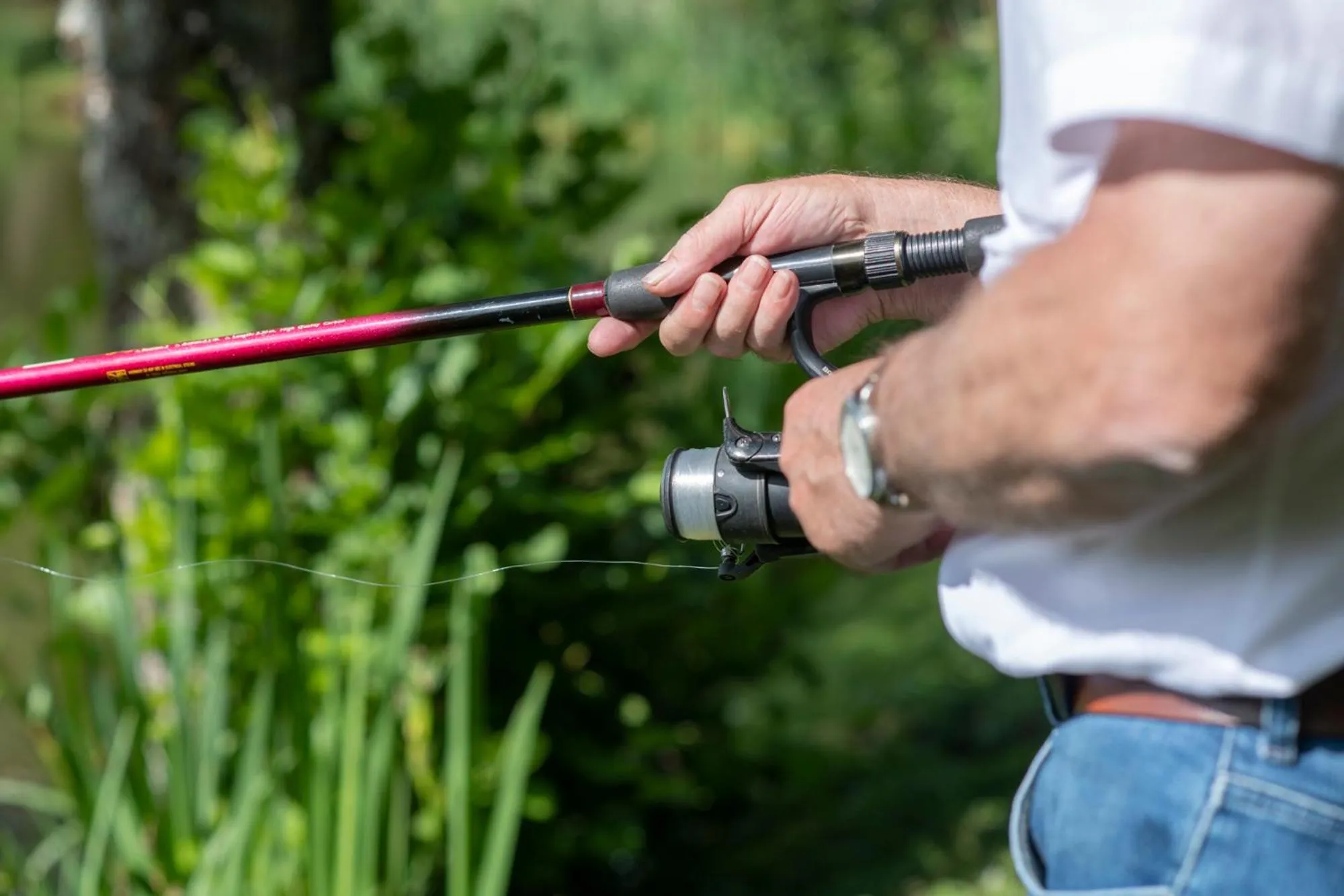 Fishing in Lakeview Manor