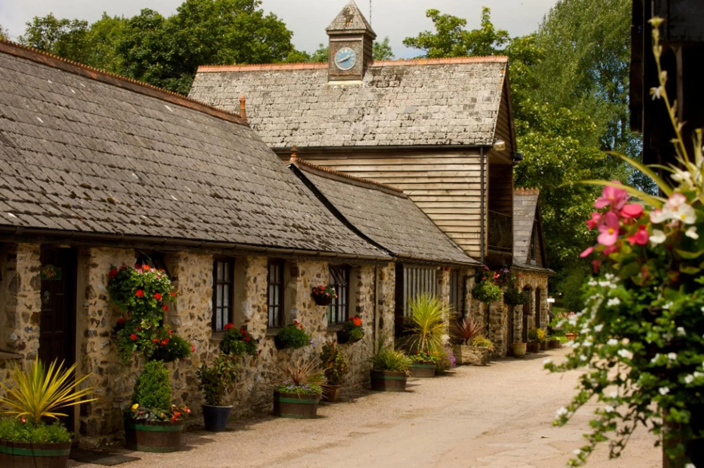 Garden in Lakeview Manor