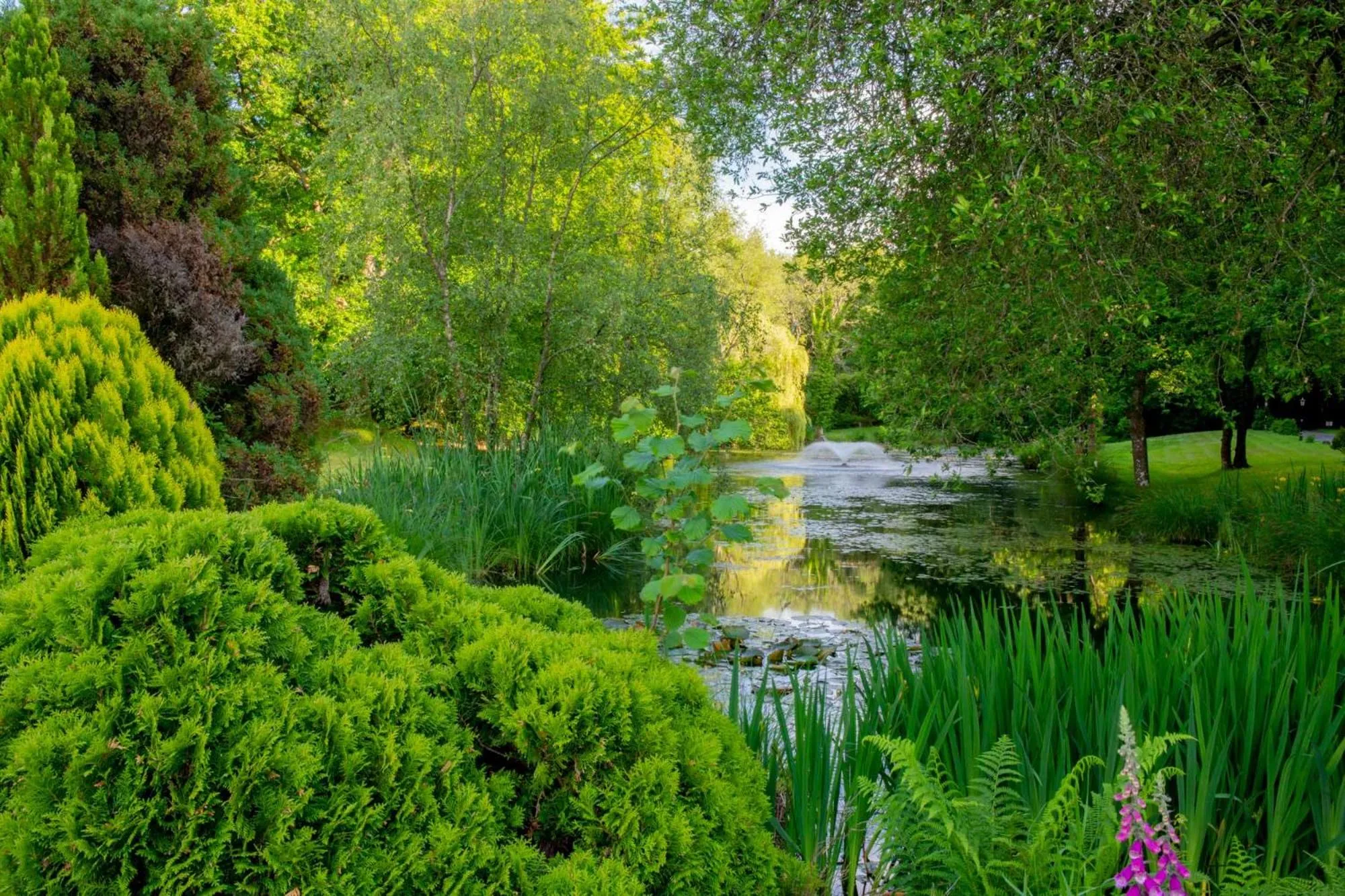 Garden in Lakeview Manor
