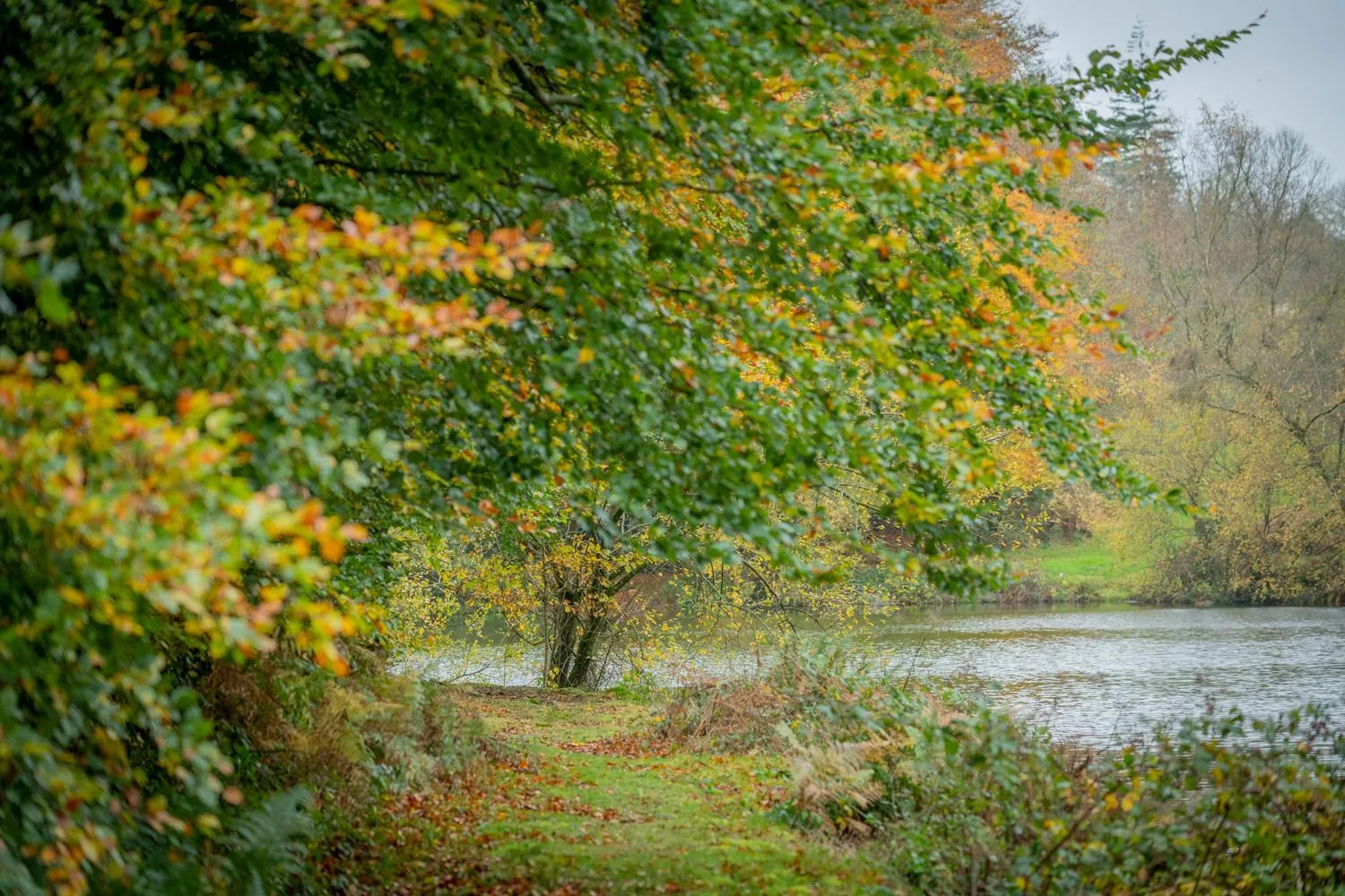 Natural landscape in Lakeview Manor