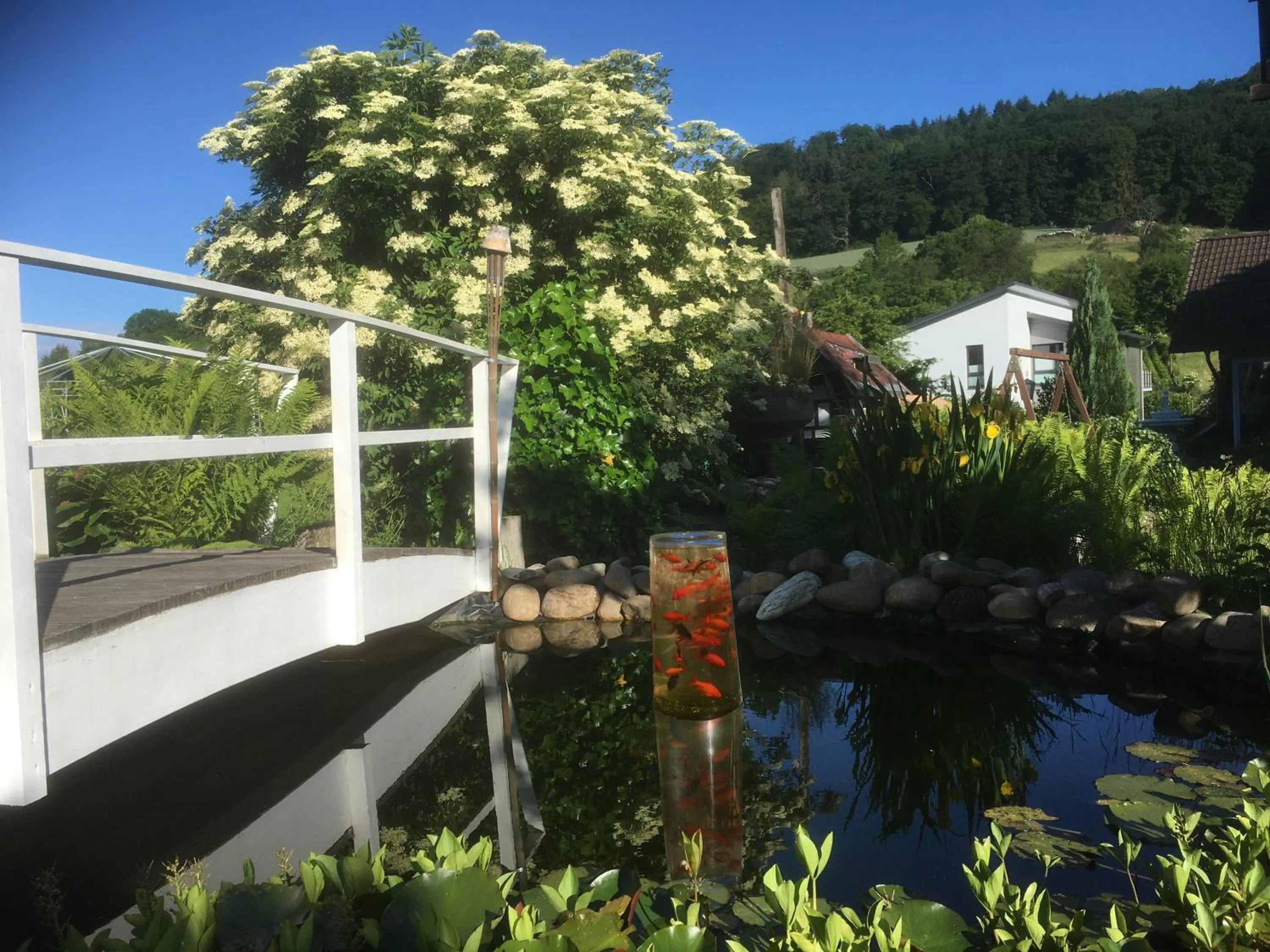 Garden in Hotel Hoxter Am Jakobsweg