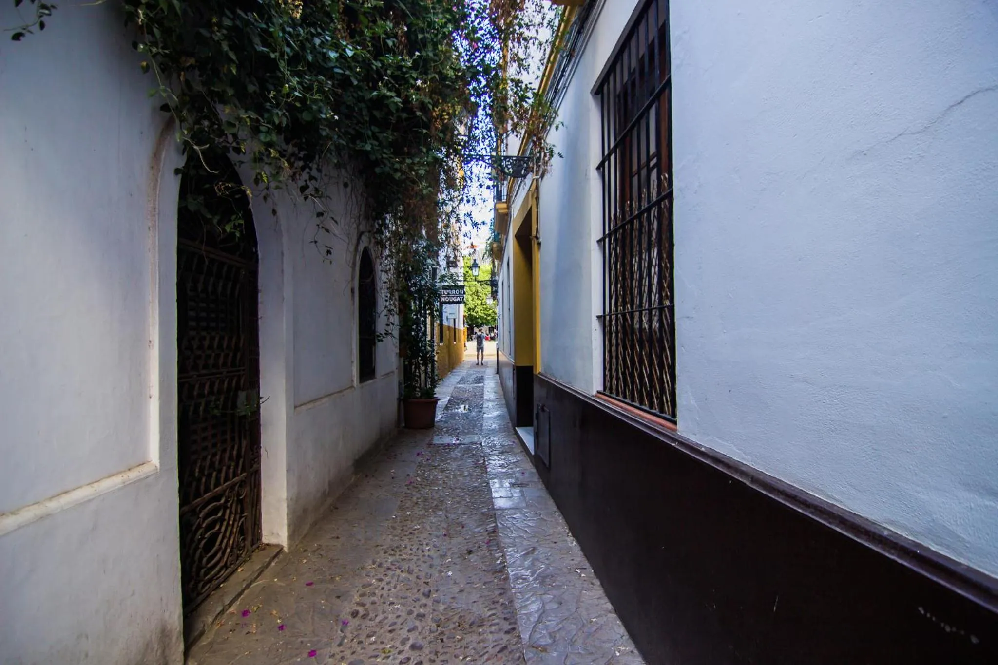 Property building in Apartamentos Boutique Vida