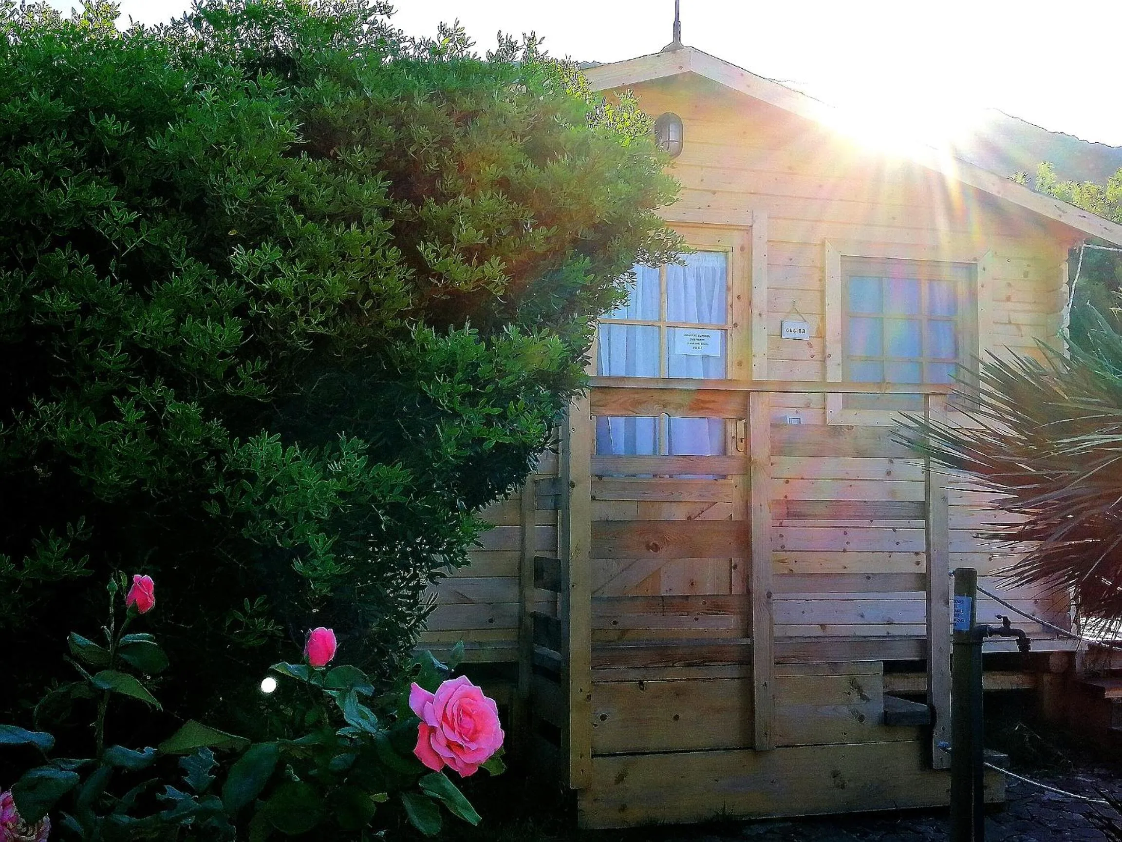 Communal kitchen in B&B Glamping Semaforo Capo Sperone
