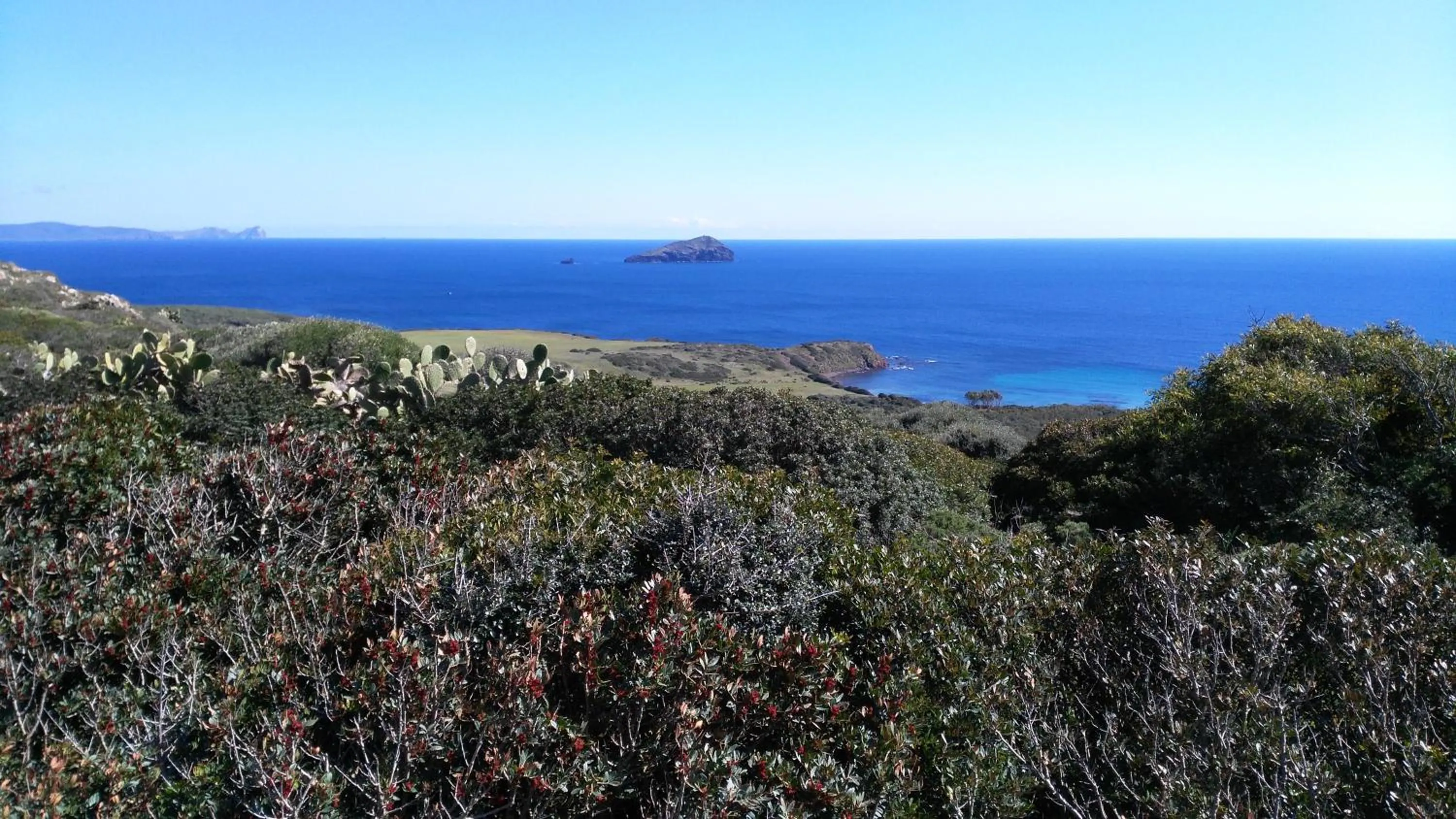 Natural landscape in B&B Glamping Semaforo Capo Sperone