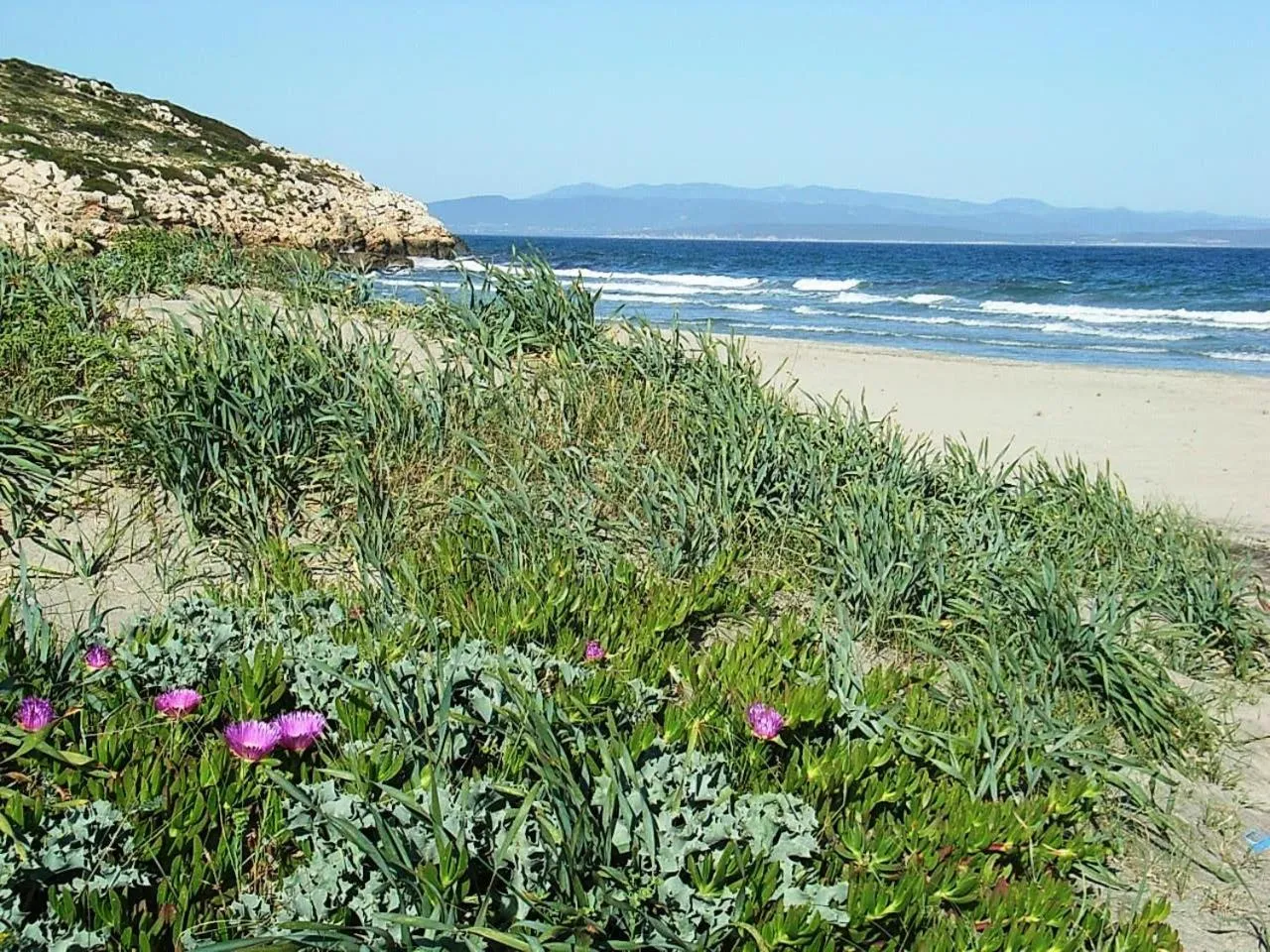 Beach in B&B Glamping Semaforo Capo Sperone