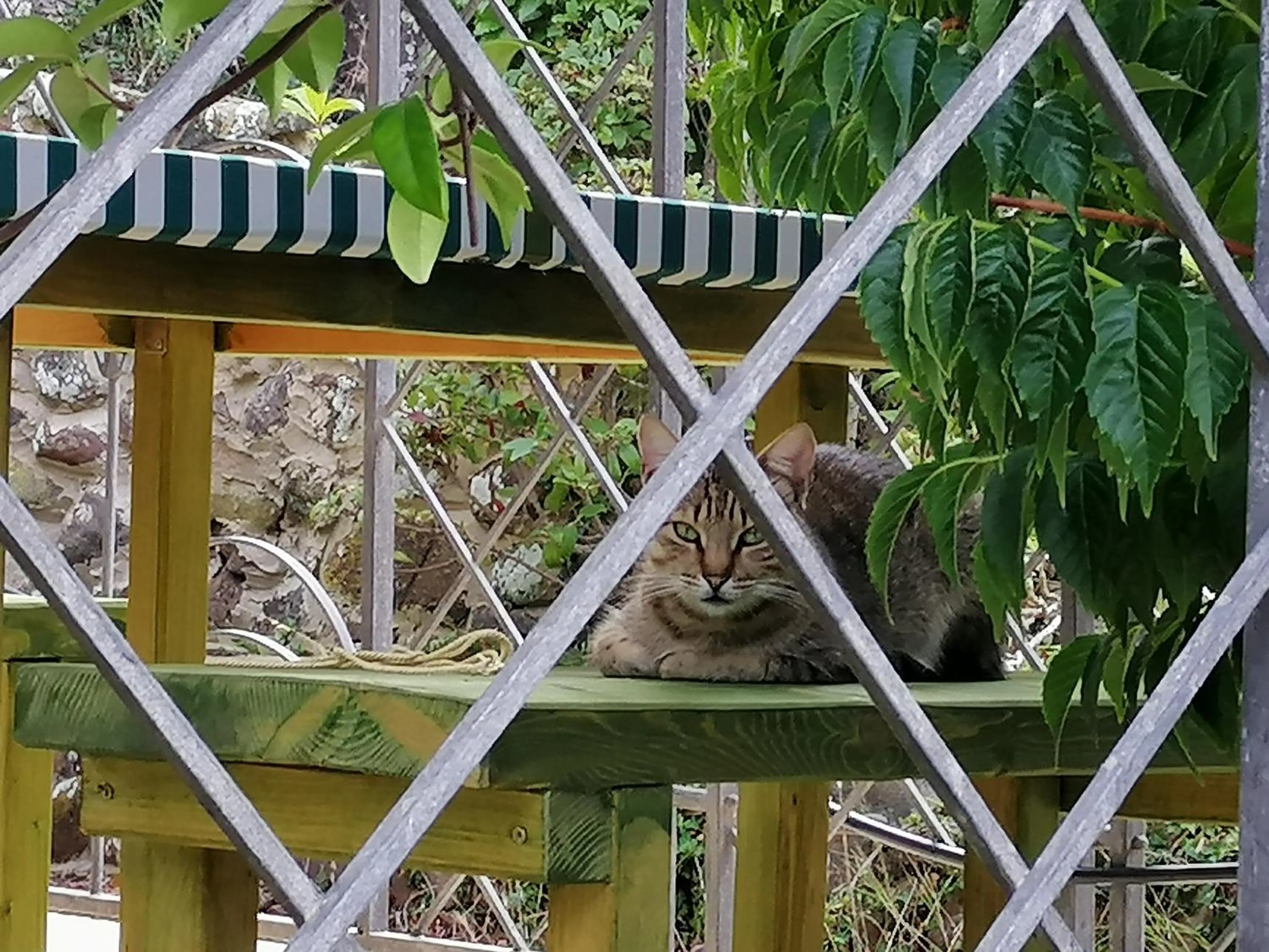 Breakfast in B&B Glamping Semaforo Capo Sperone