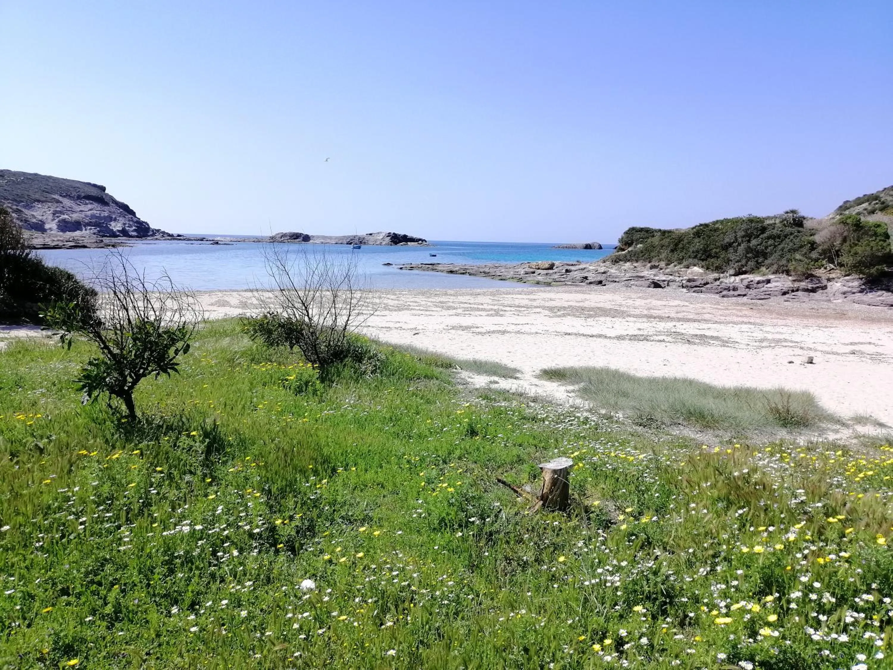 Beach in B&B Glamping Semaforo Capo Sperone