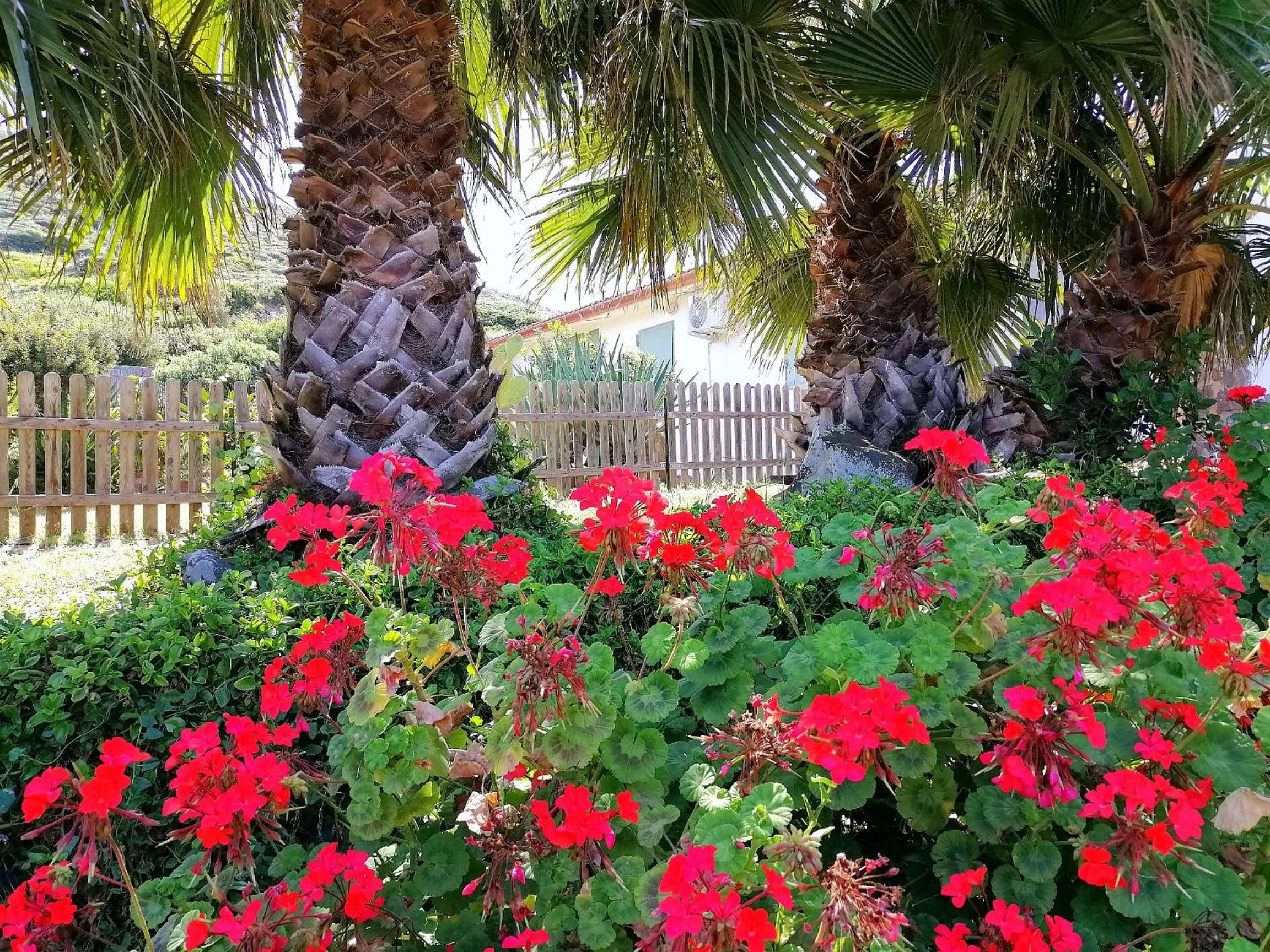 Garden in B&B Glamping Semaforo Capo Sperone