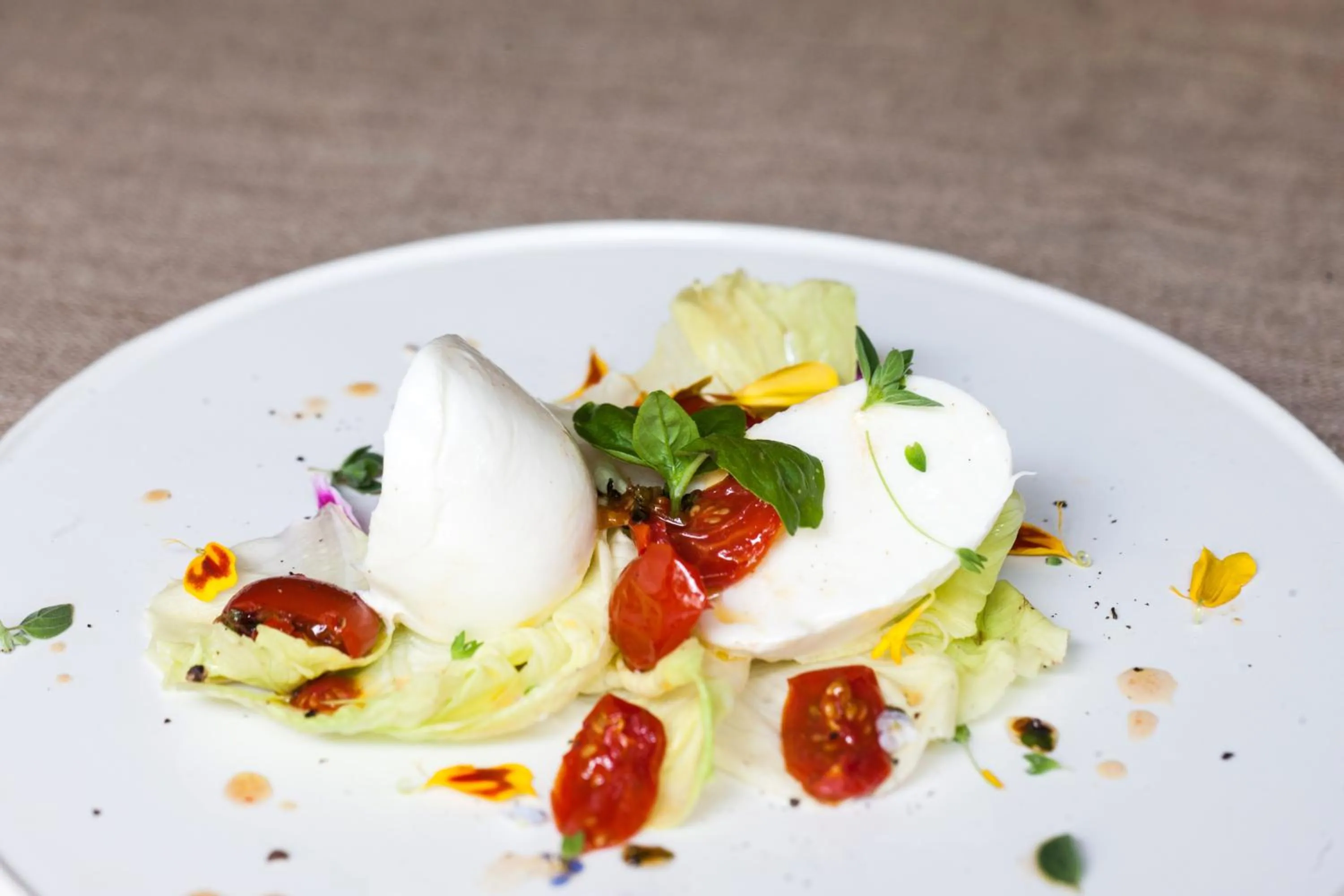 Food and drinks in Relais Alberti