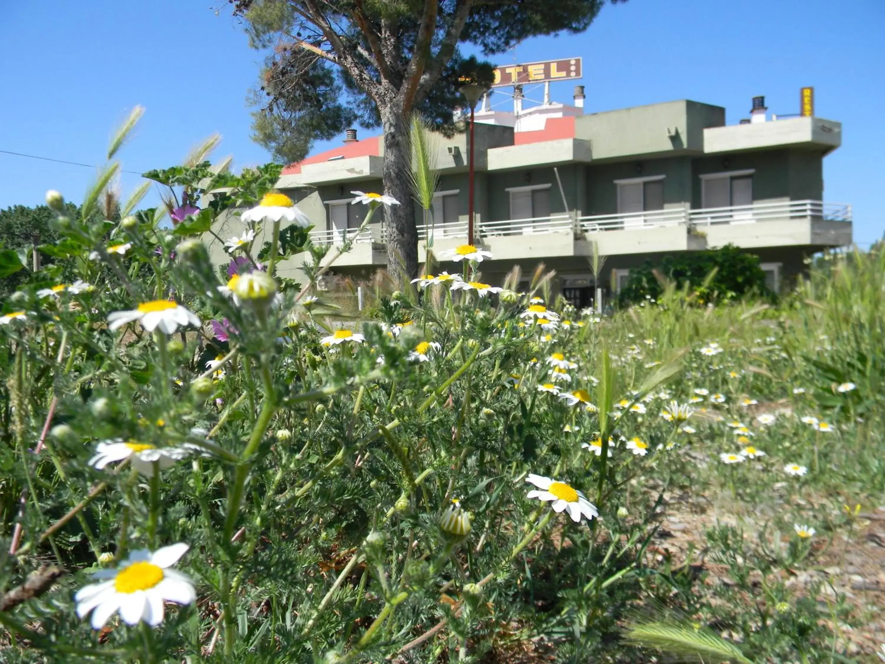 Hotel Restaurante Las Galias Hotel Restaurante Las Galias