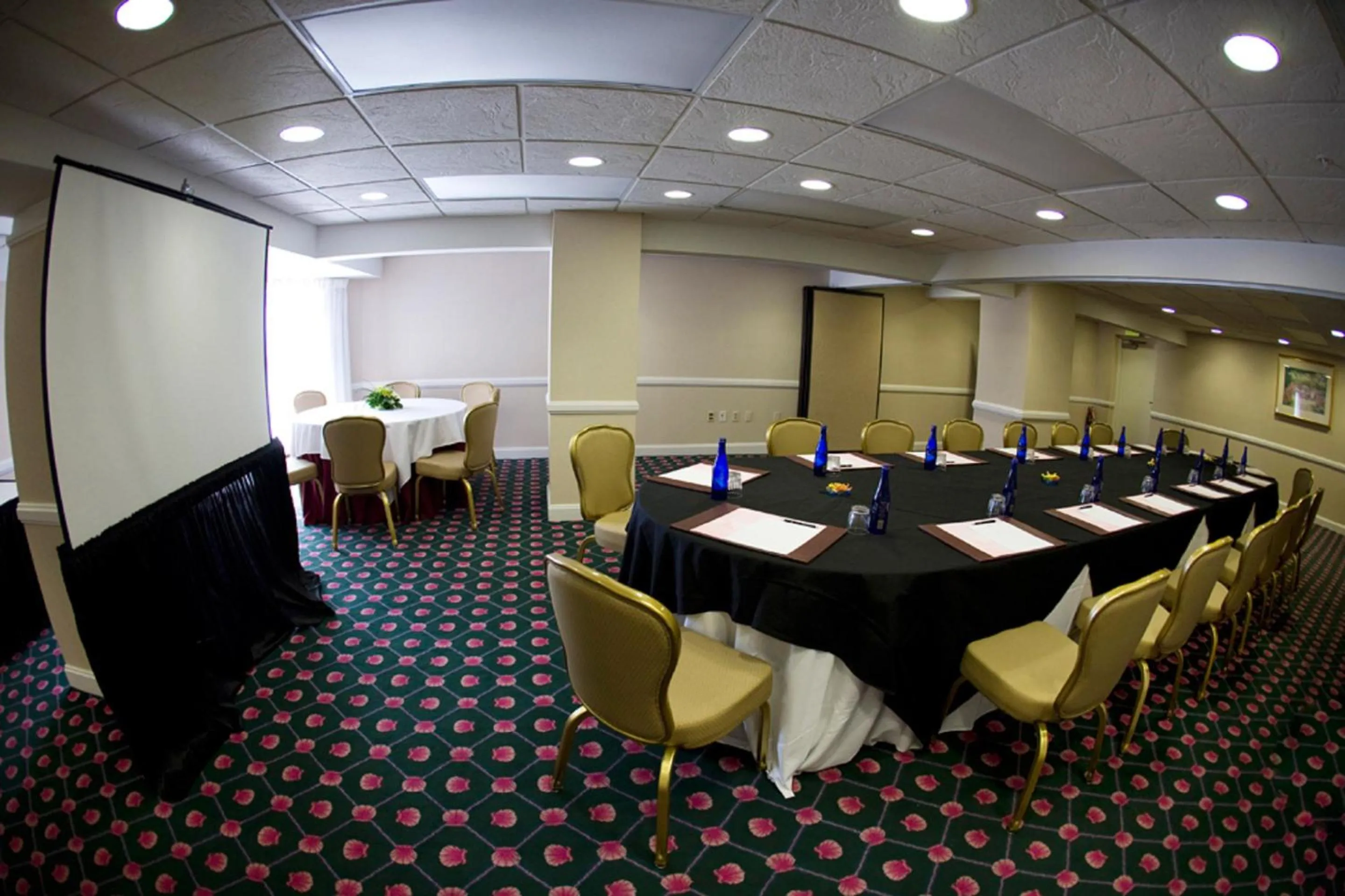 Business facilities in Beach House Suites by the Don CeSar