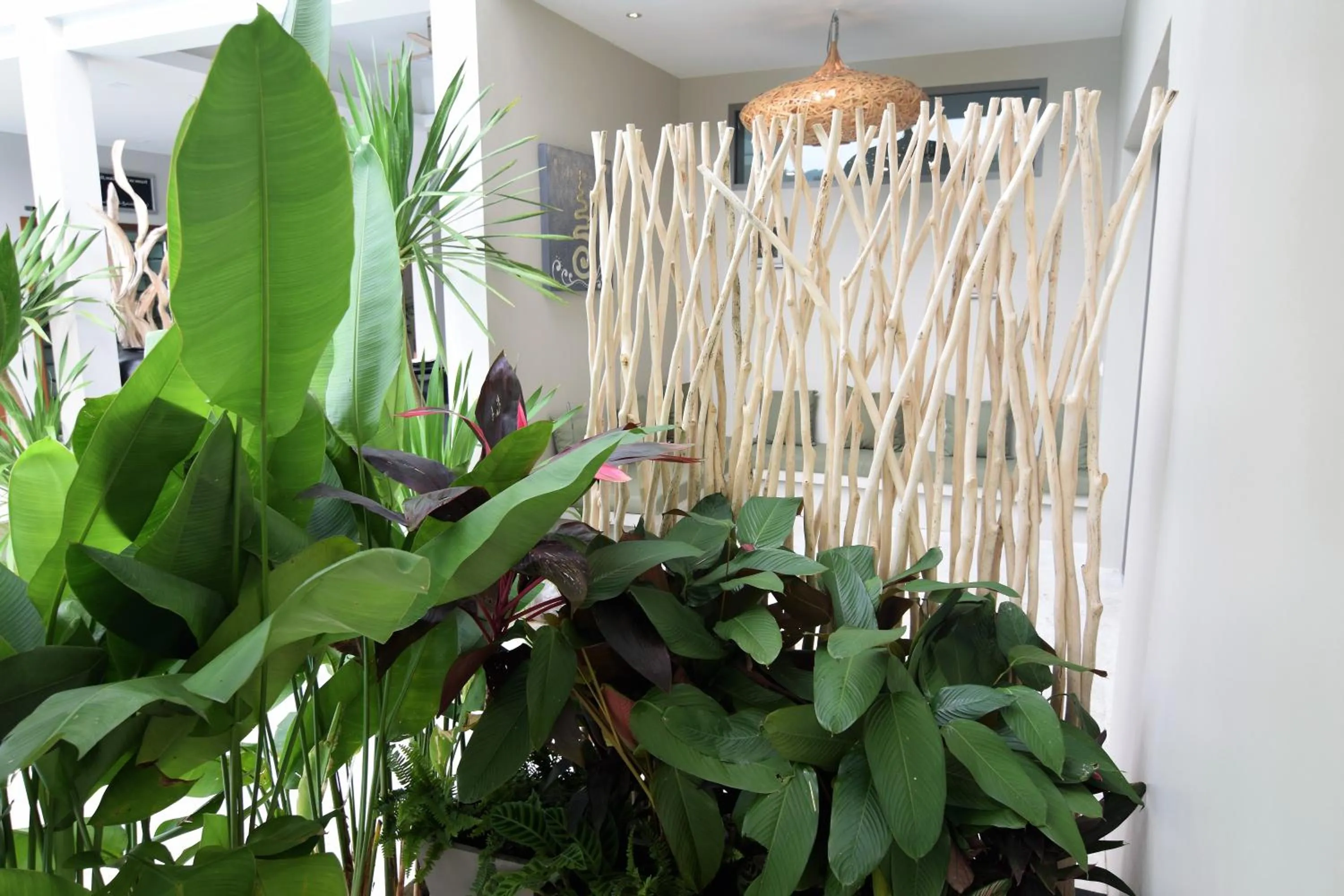 Balcony/Terrace in AMAYA Resort