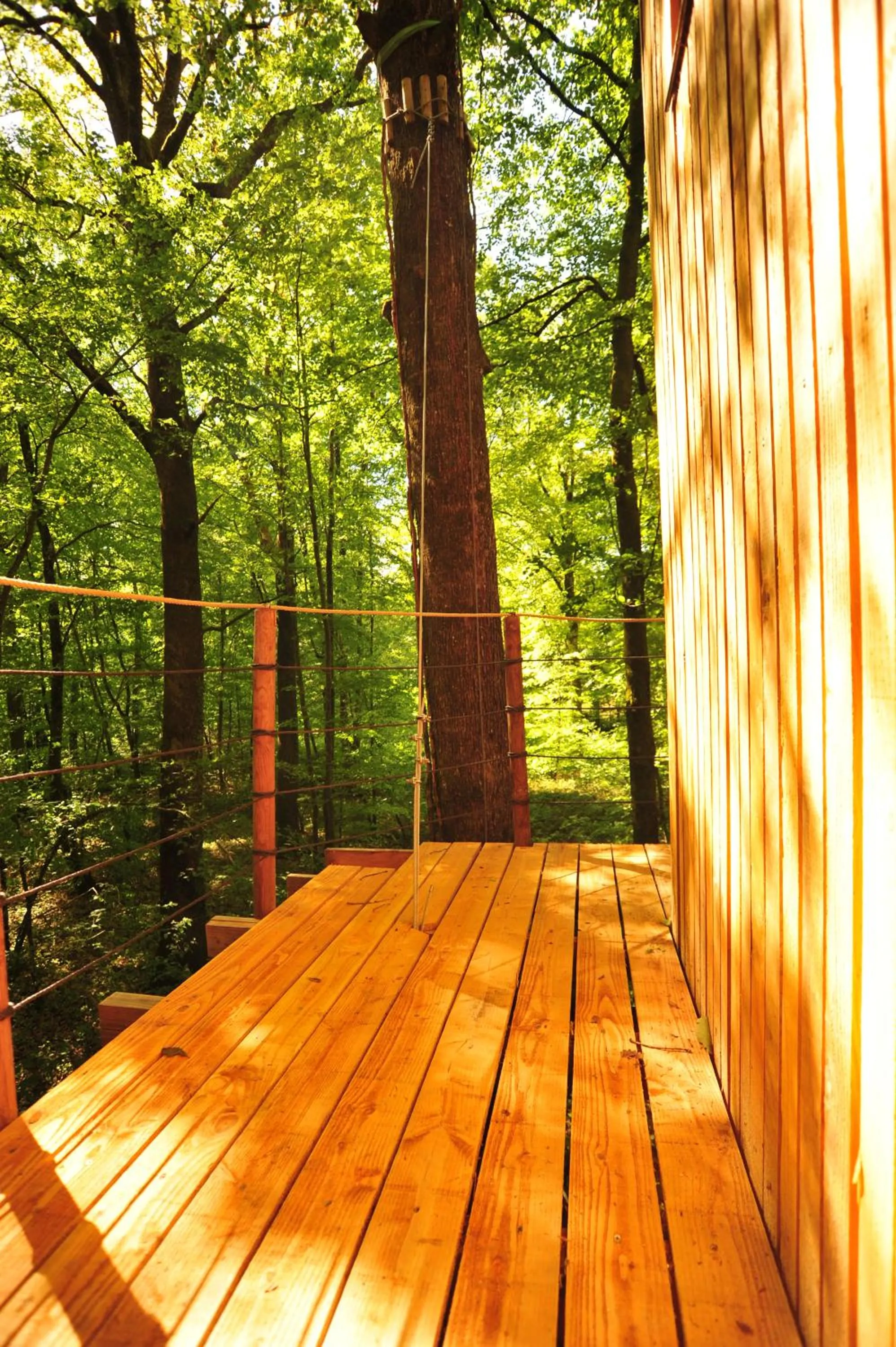 Garden view in Cabanes Espace Fouletot