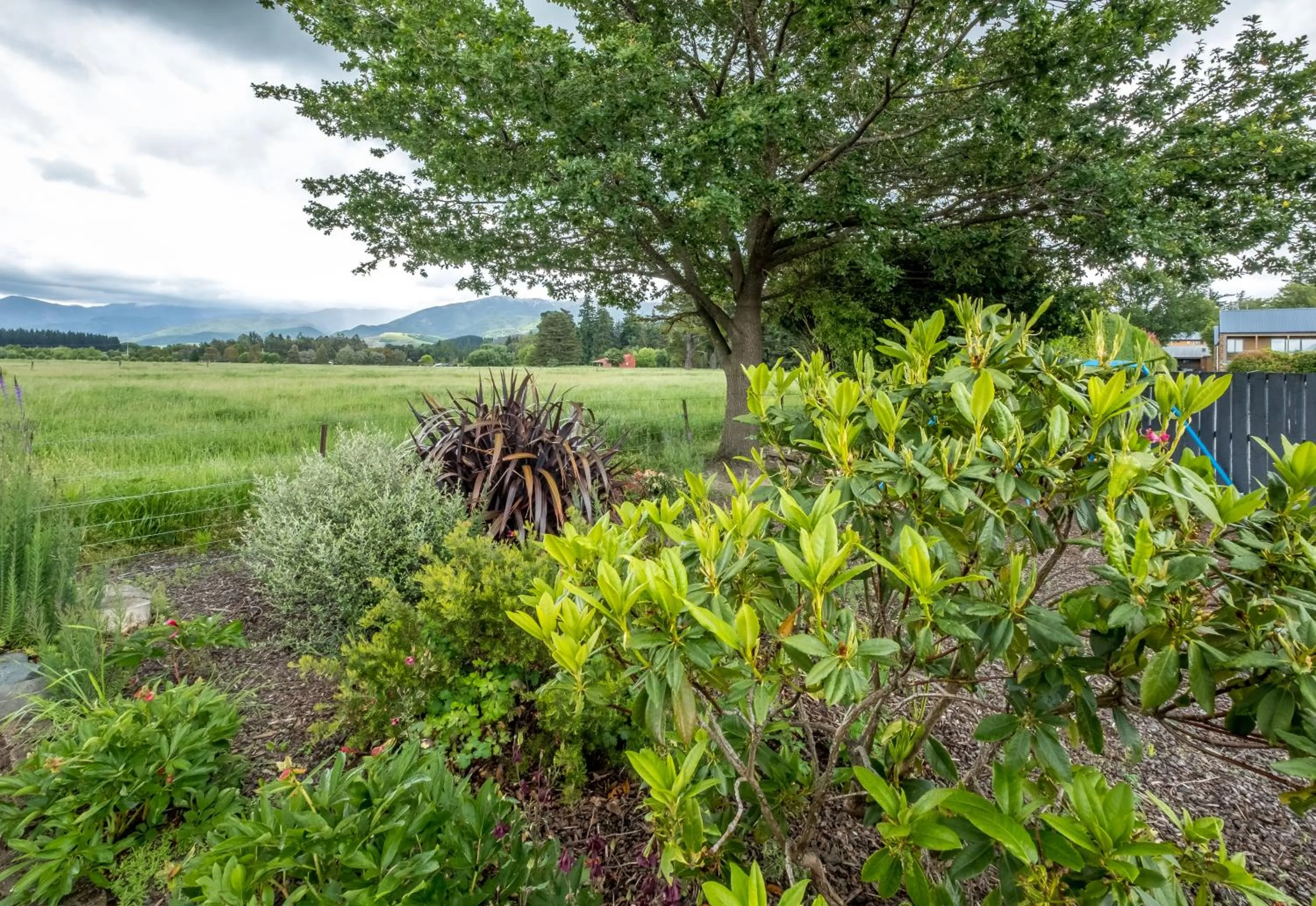 Garden in Hanmer Springs Scenic Views Motel