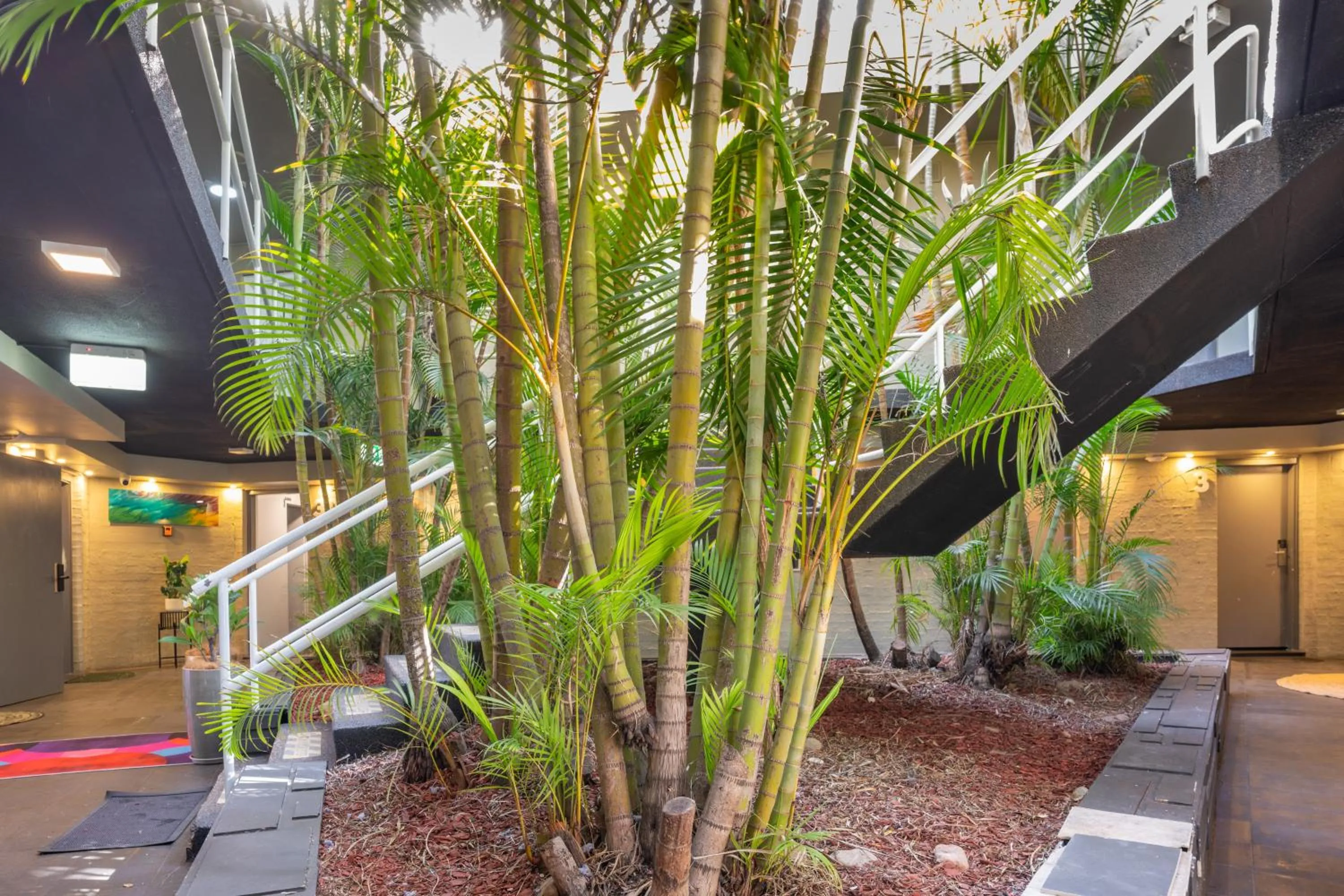 Spring in Bankstown Motel 10