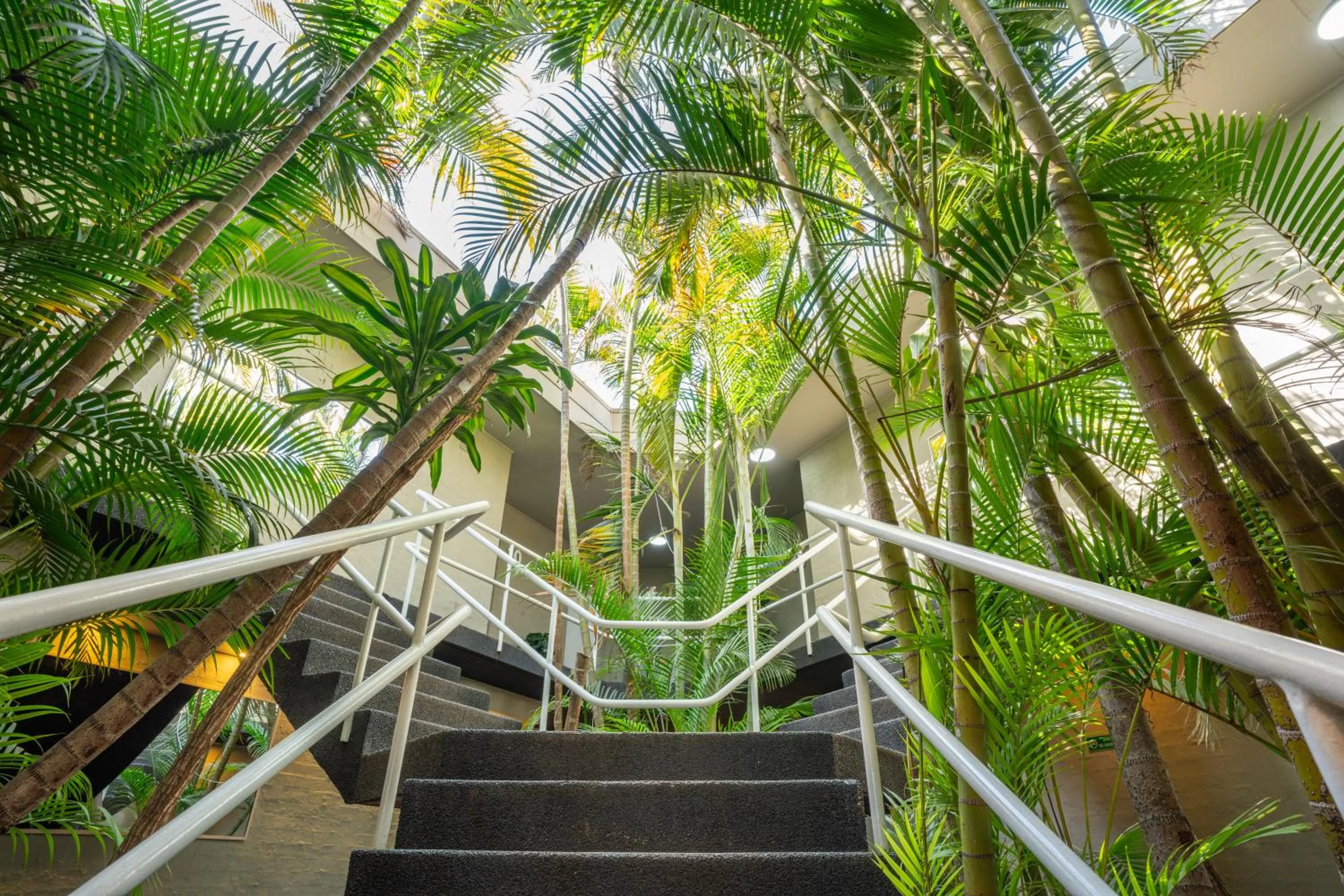 Natural landscape in Bankstown Motel 10