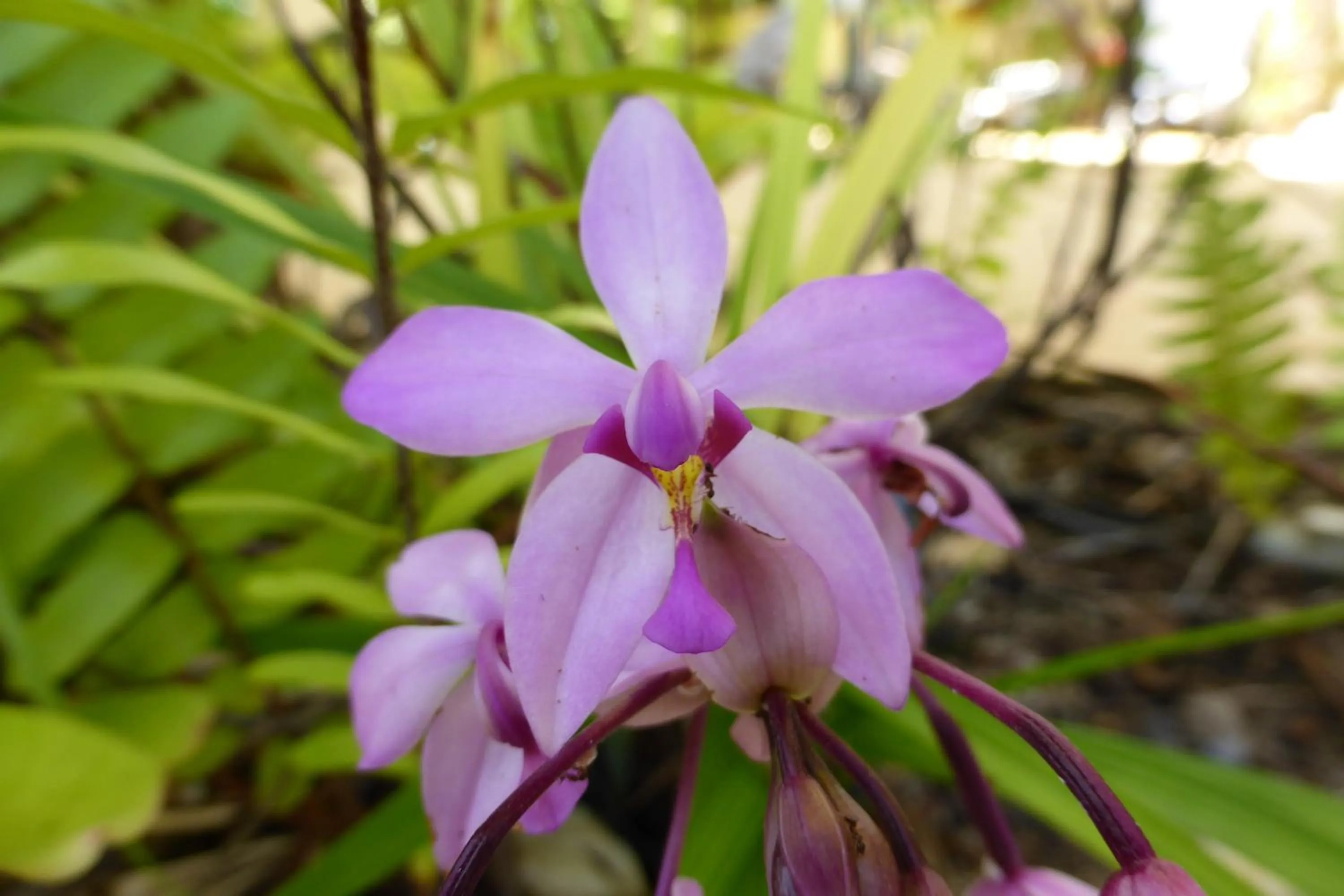 Natural landscape in Silkari Reflections of Port Douglas