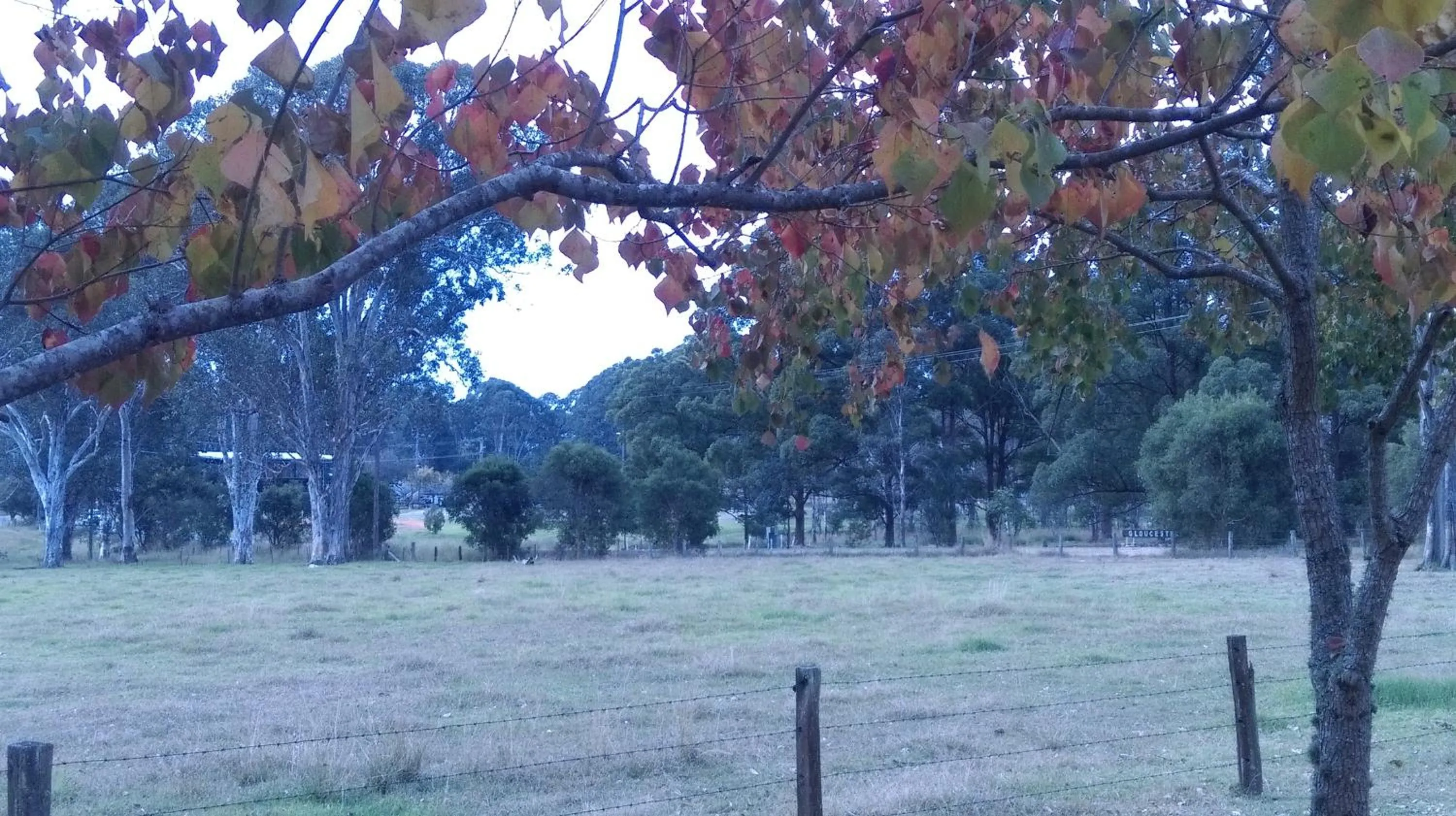Patio, Garden in Gloucester Country Lodge Motel