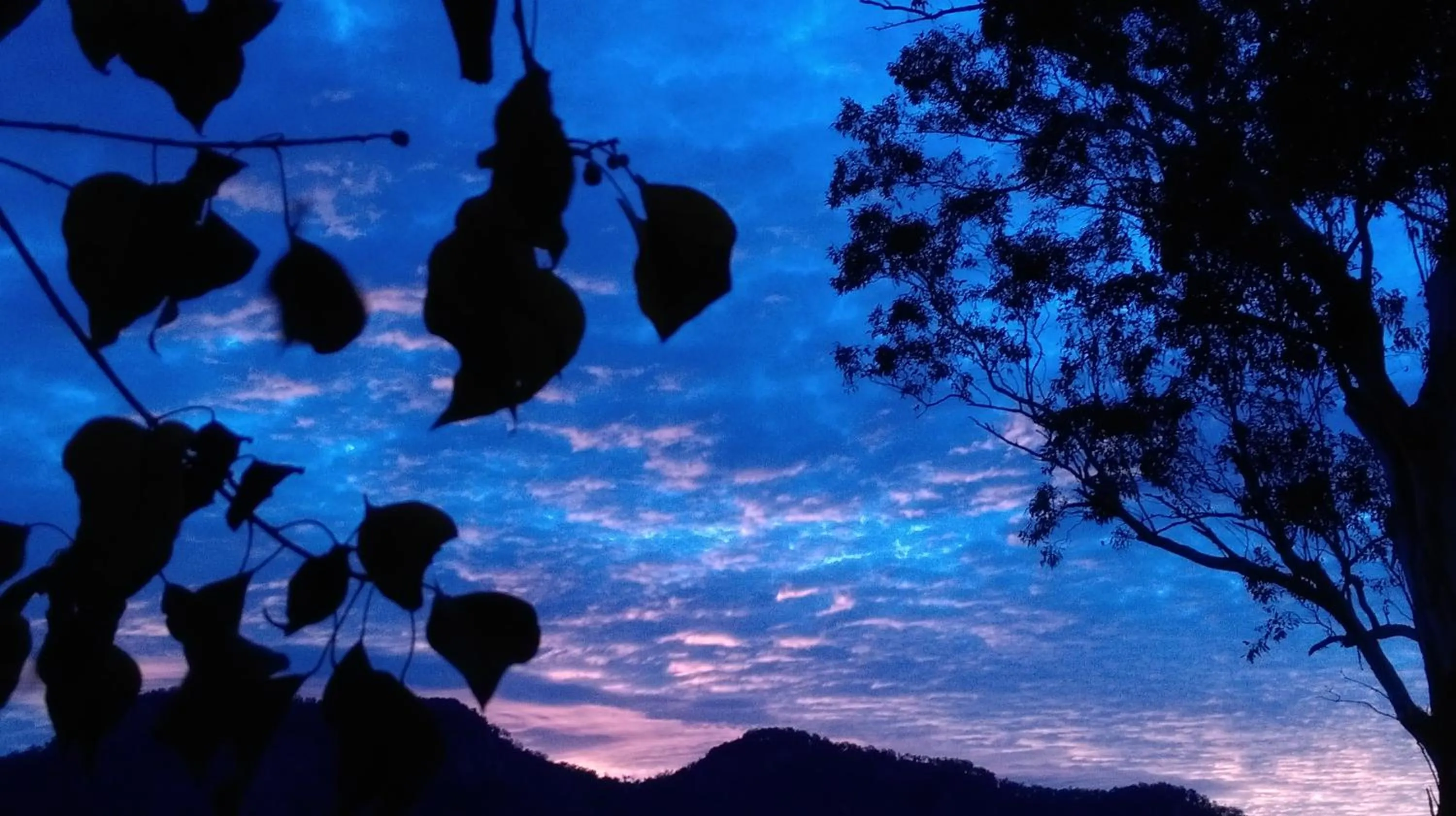On site, Natural Landscape in Gloucester Country Lodge Motel