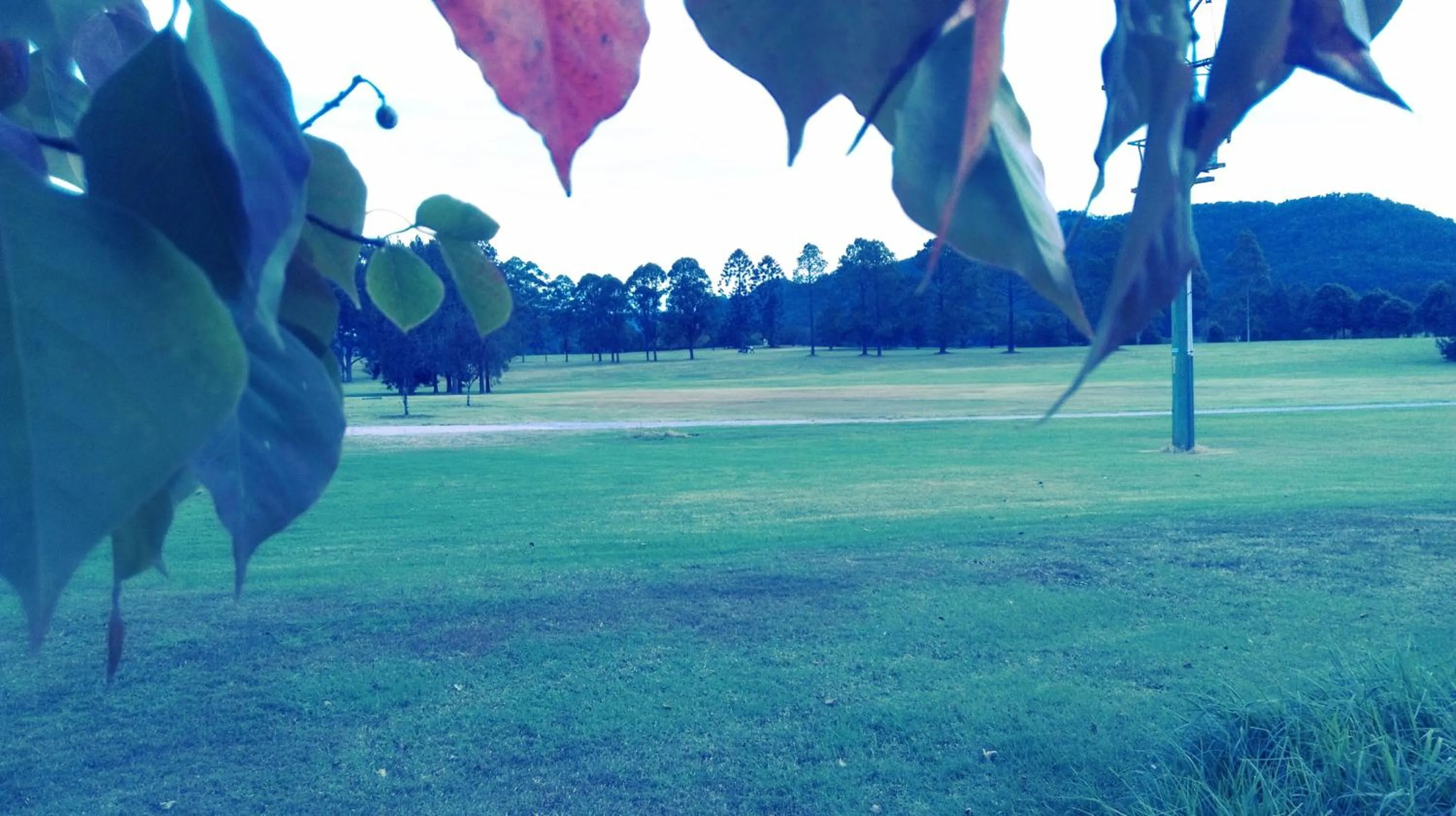 View (from property/room), Garden in Gloucester Country Lodge Motel