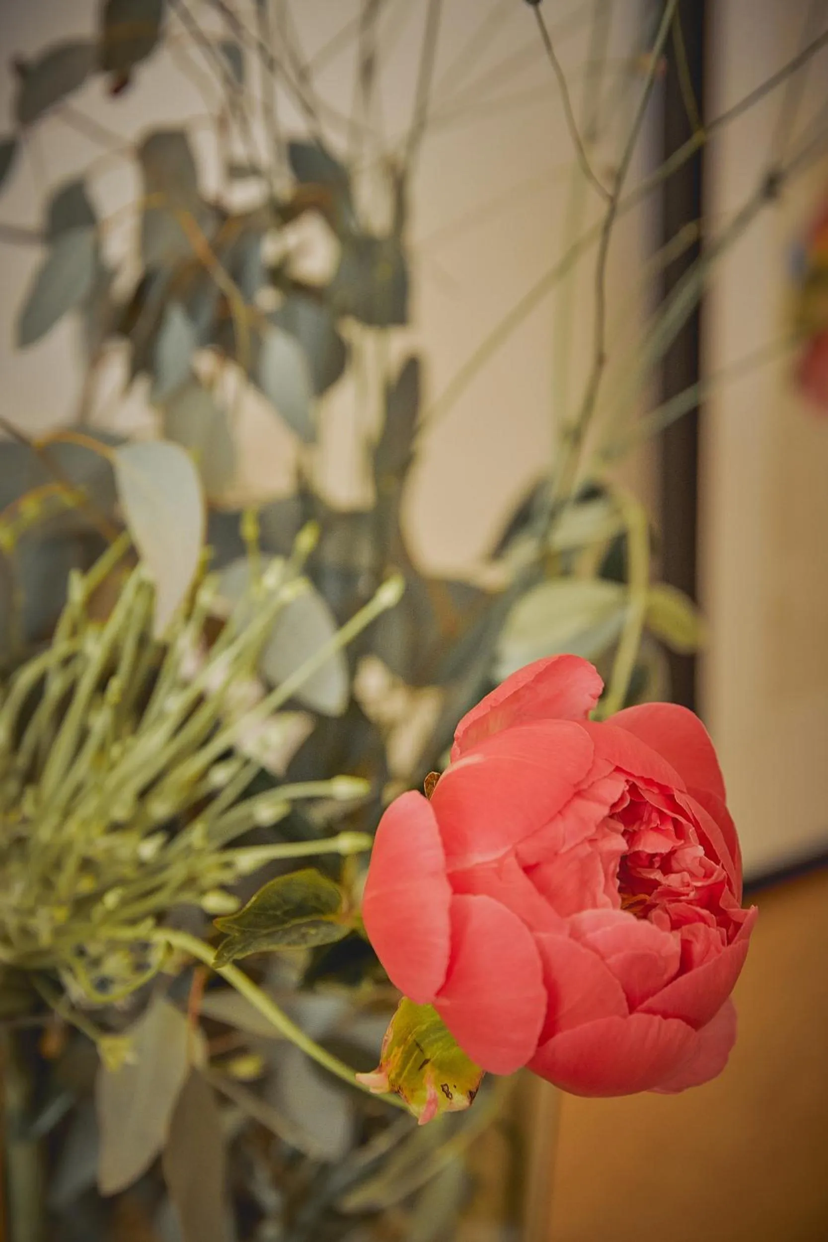 Spring in Weinforum Franken Hotel & Restaurant