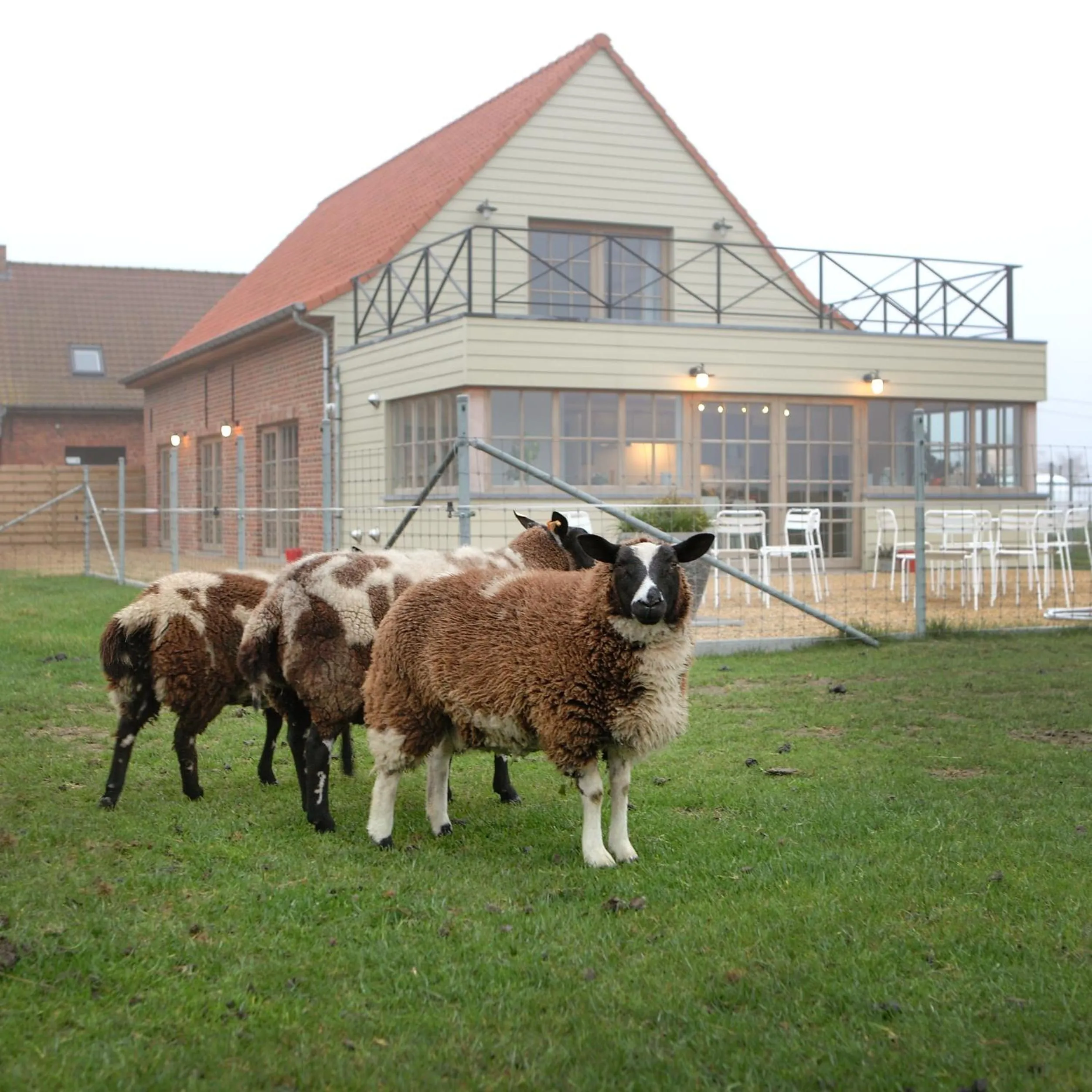 Facade/entrance in B&B Back2Front