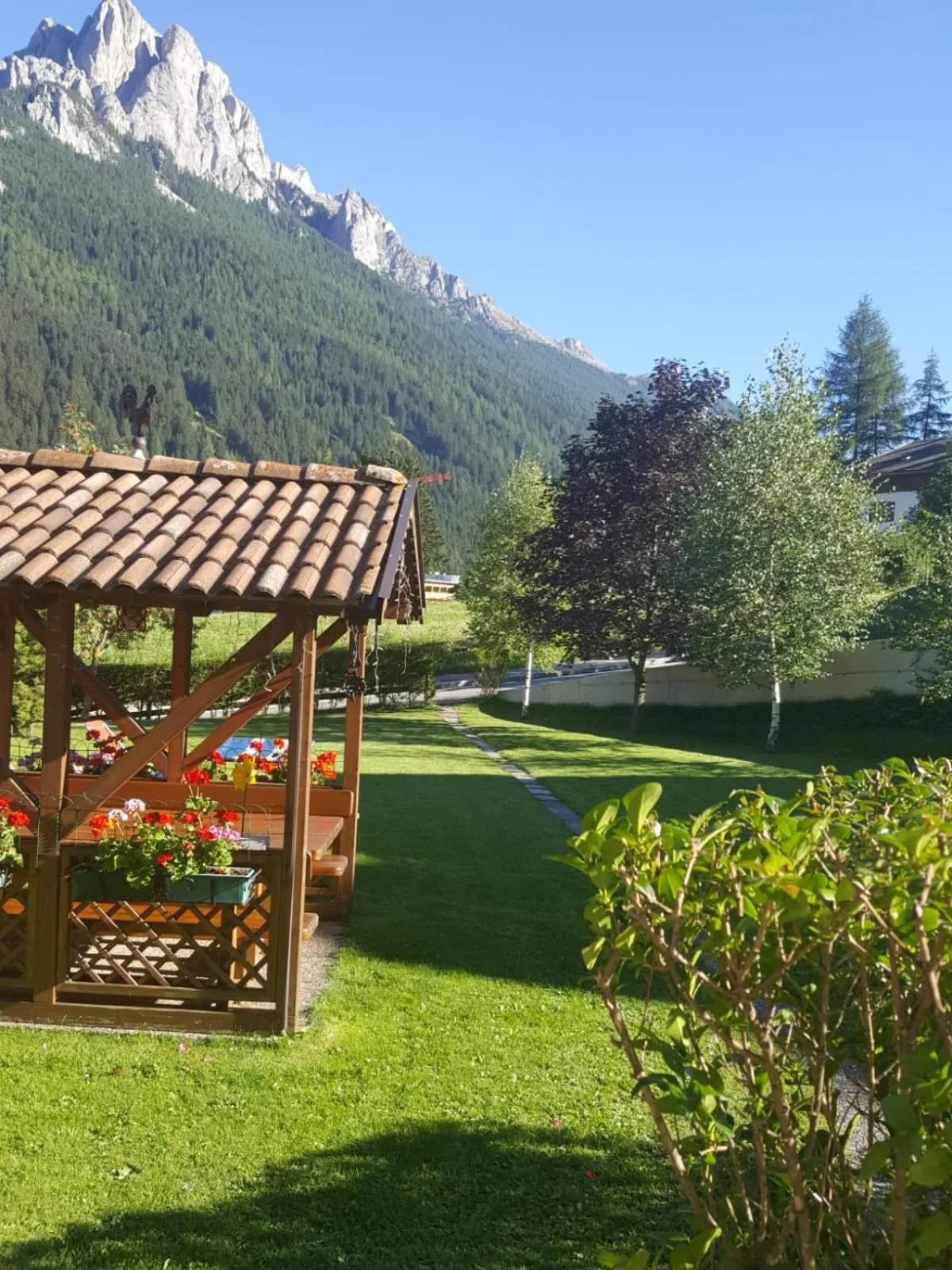 Garden in Villa Gemmy