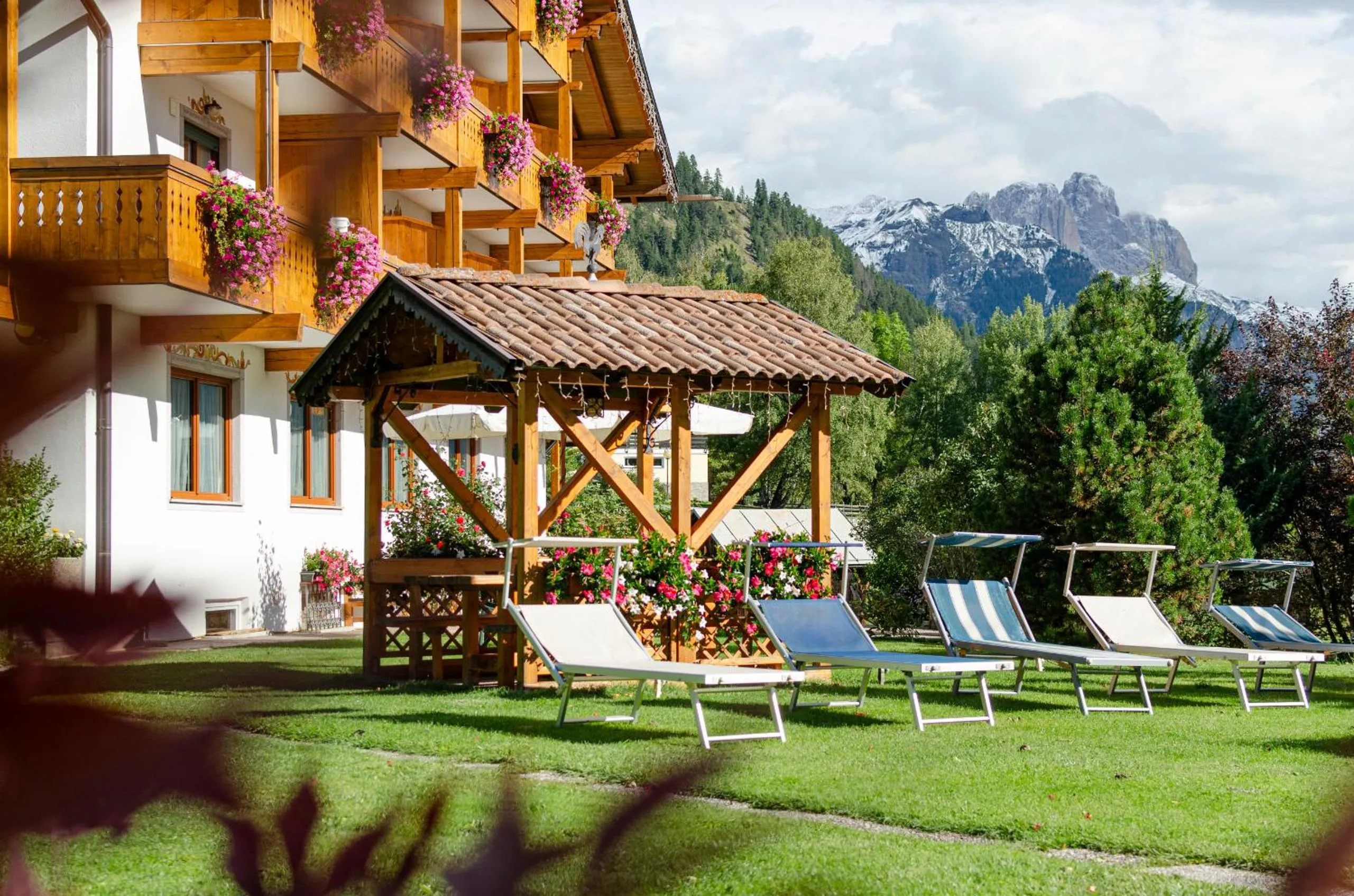 Garden in Villa Gemmy