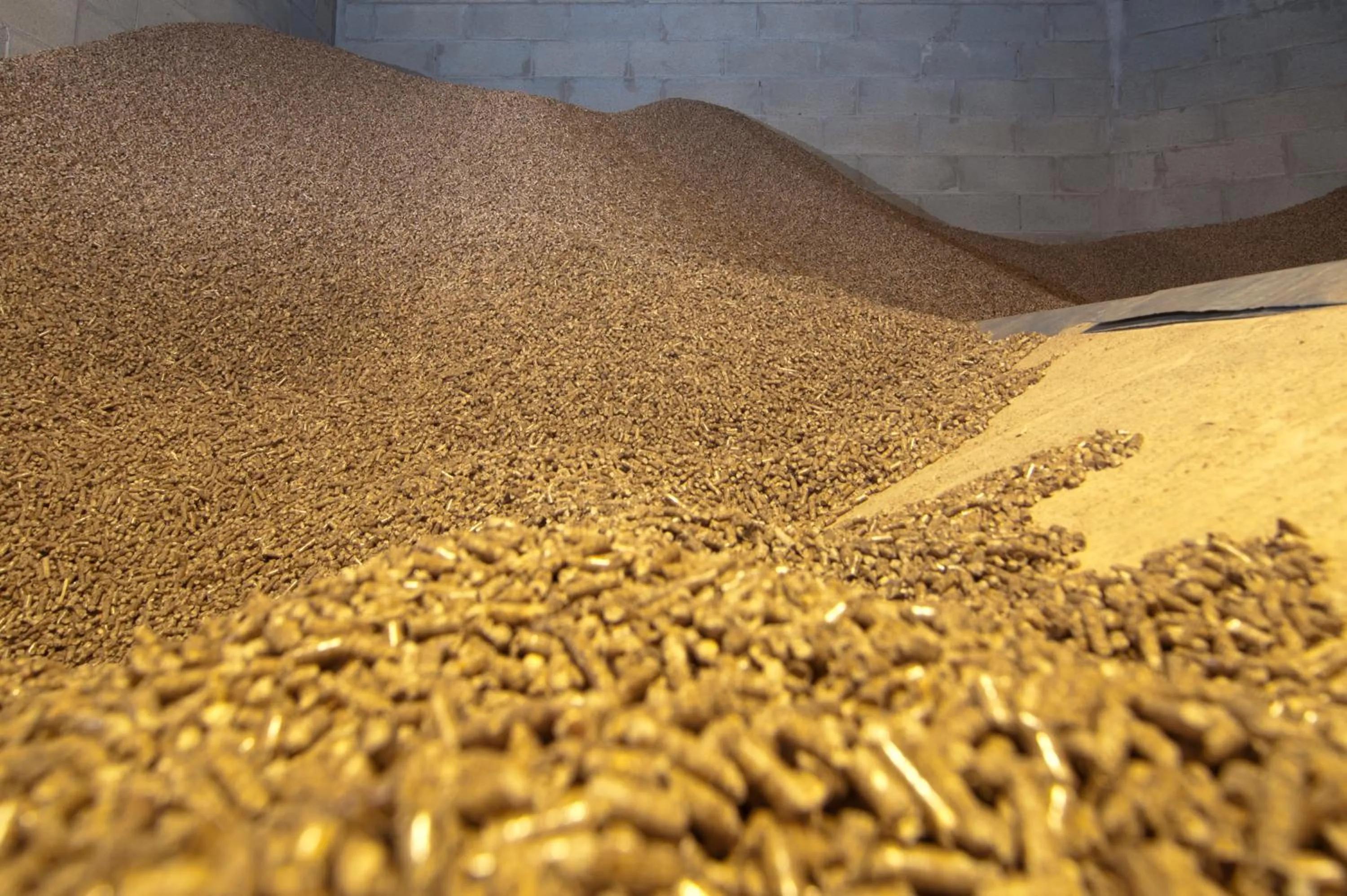 View (from property/room) in Hotel Zerbion