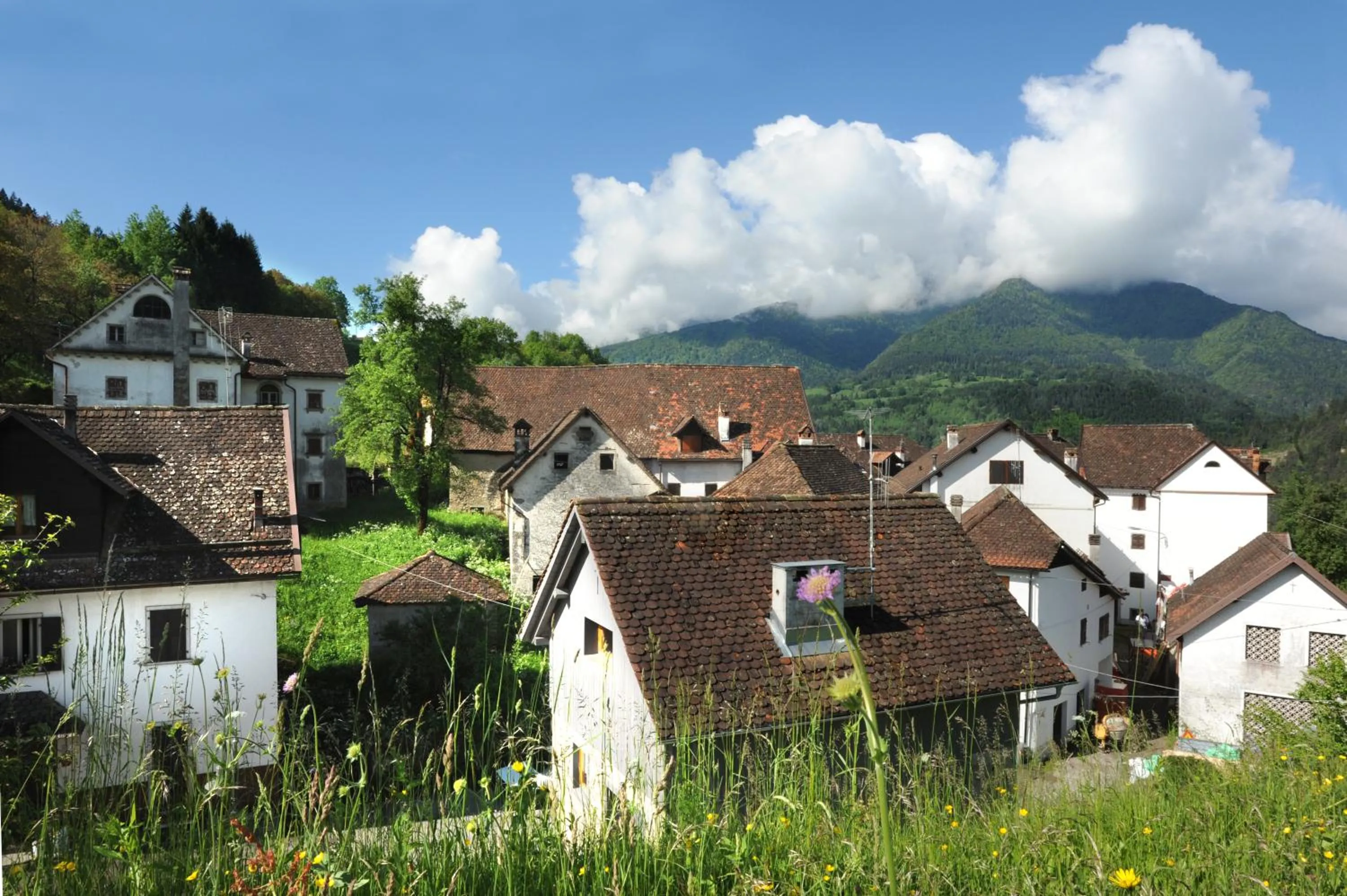 Area and facilities in Albergo Diffuso Comeglians