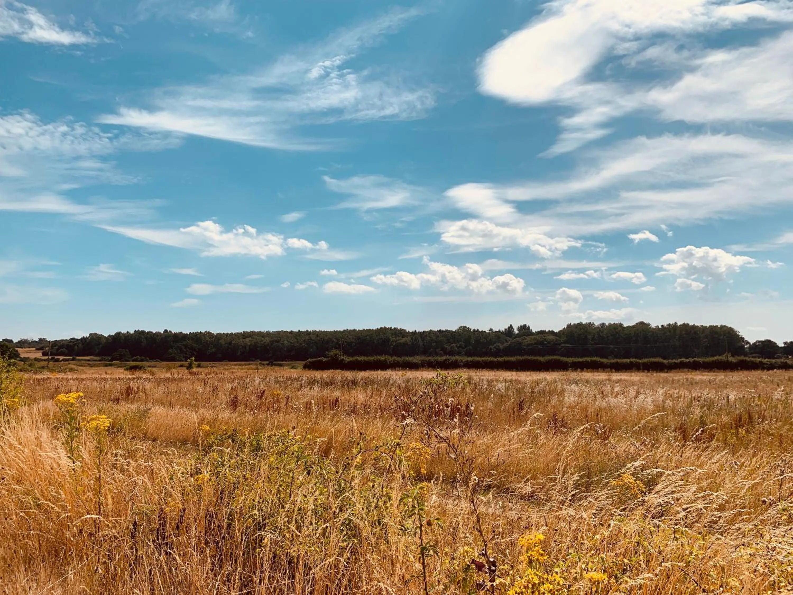 Plumptons Farm Holiday Lodges