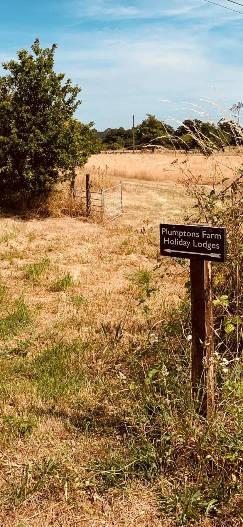 Plumptons Farm Holiday Lodges