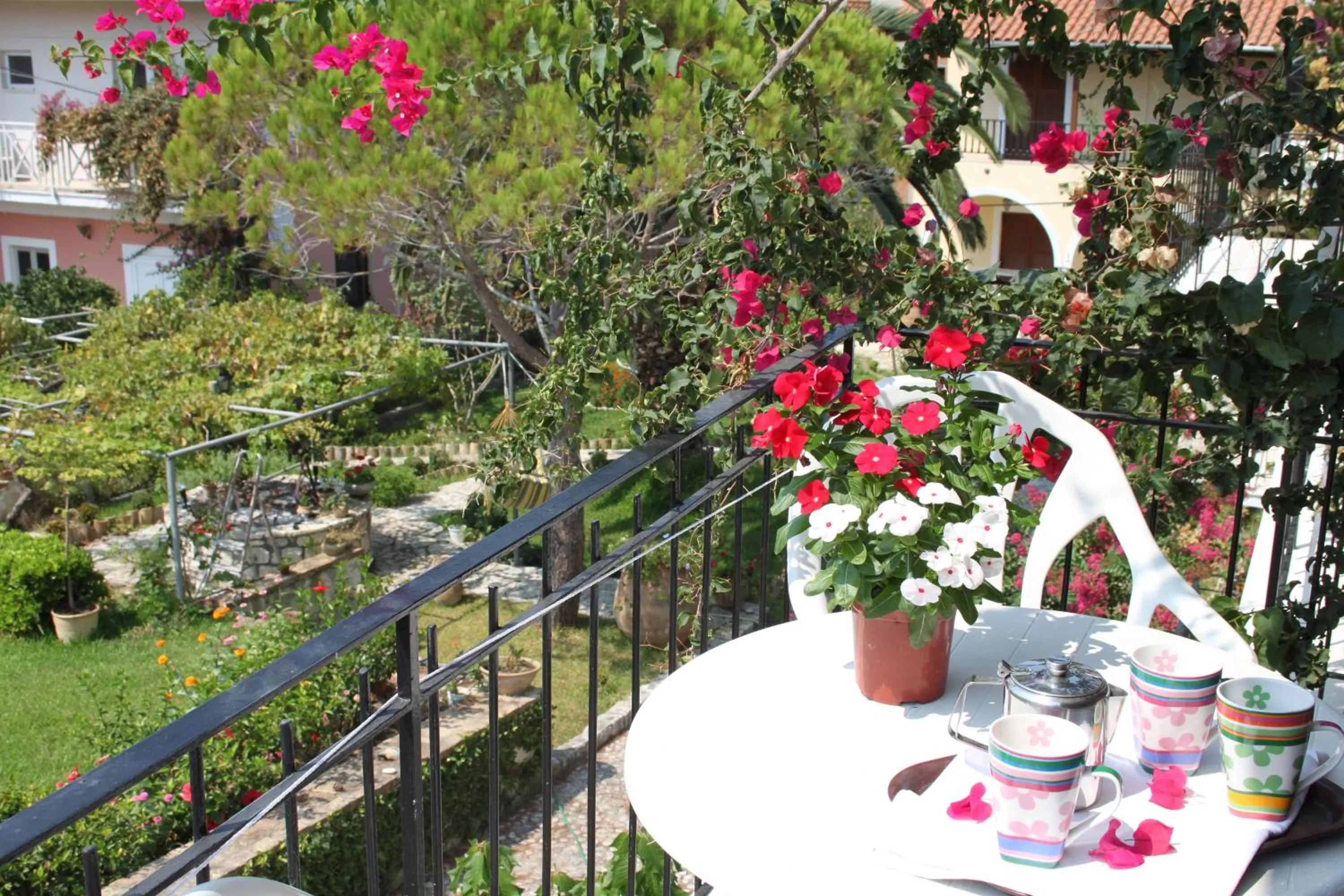 Garden view in Arillas Studios