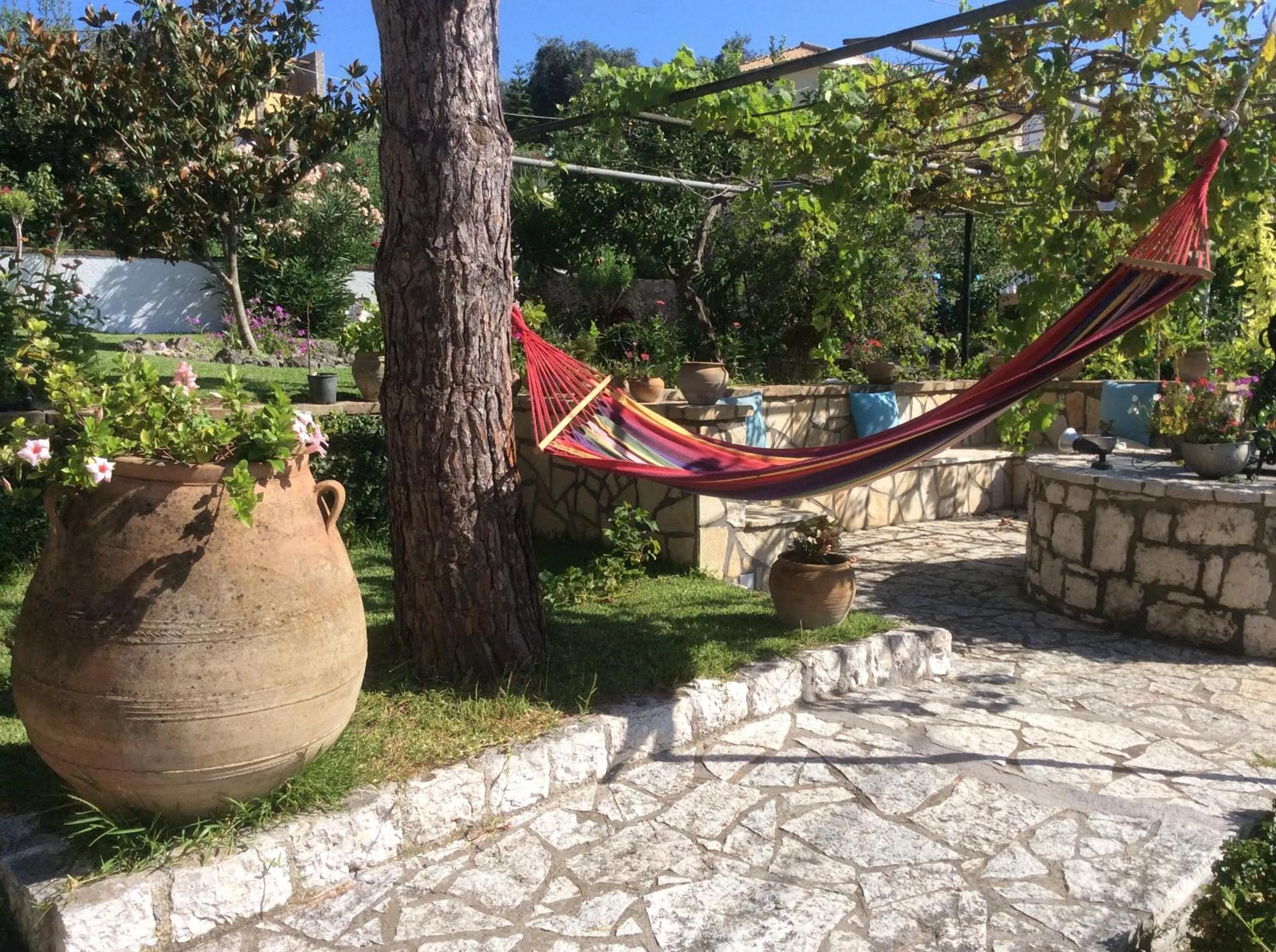 Garden in Arillas Studios