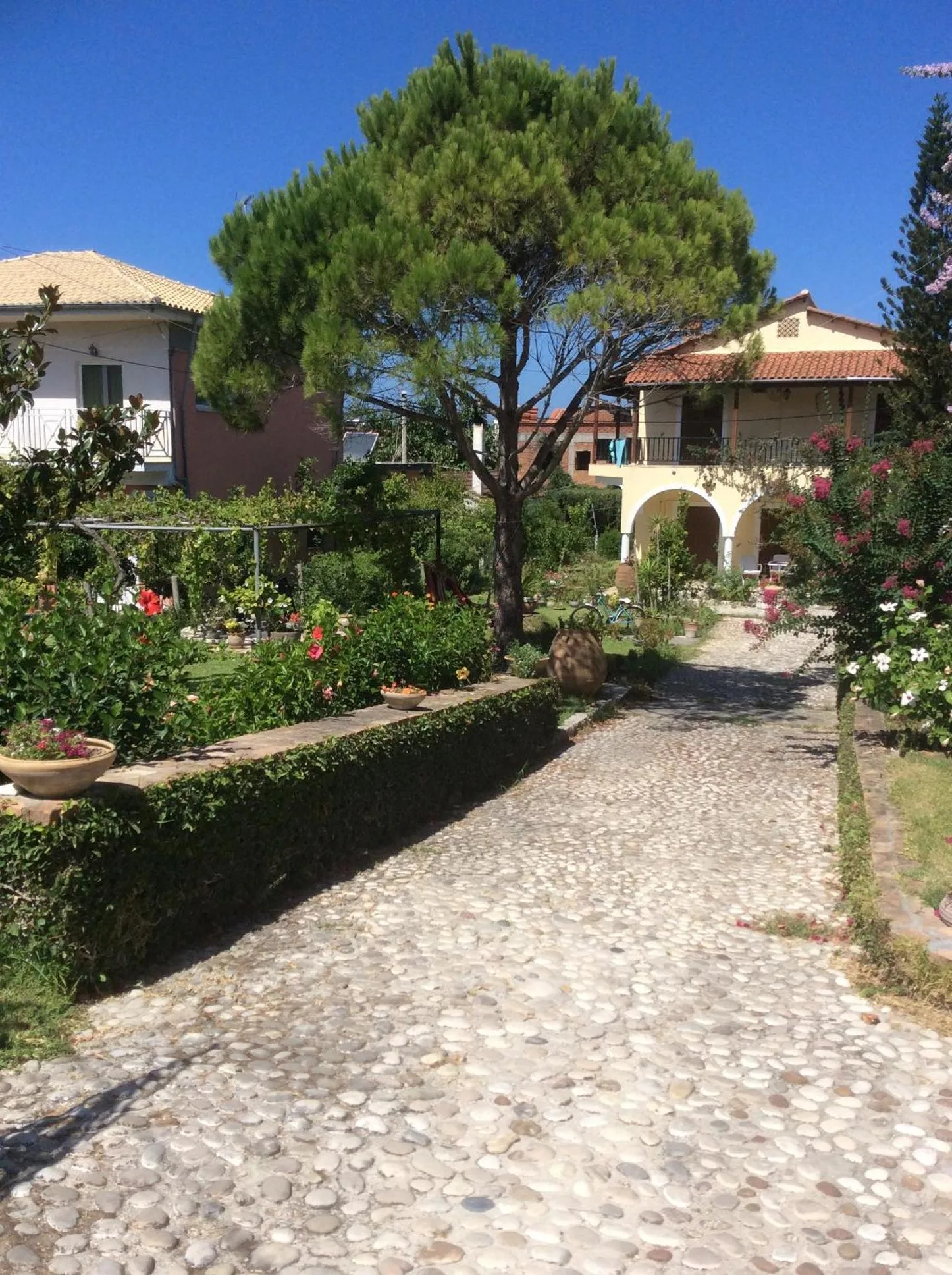 Garden in Arillas Studios