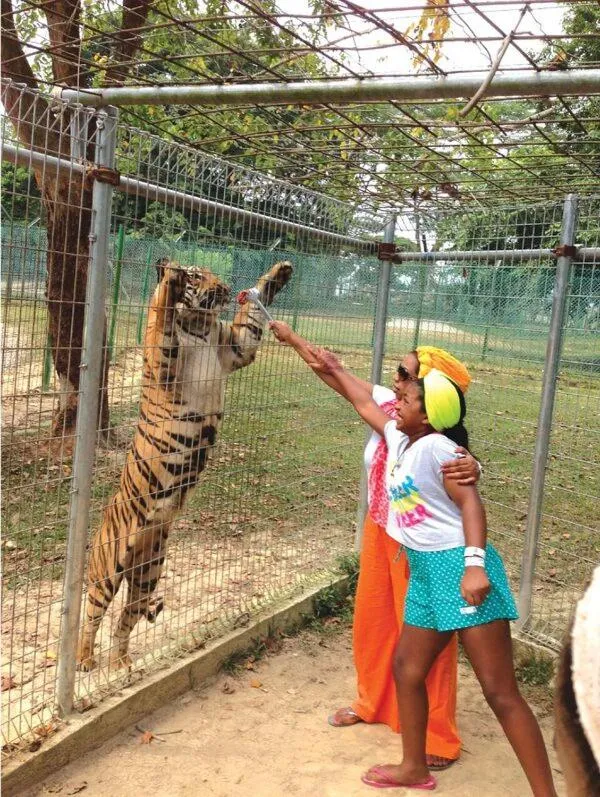 Activities in A'Famosa Resort Melaka