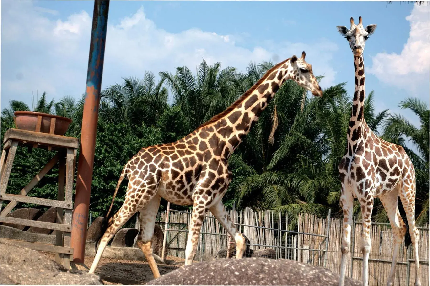 A'Famosa Resort Melaka A'Famosa Resort Melaka