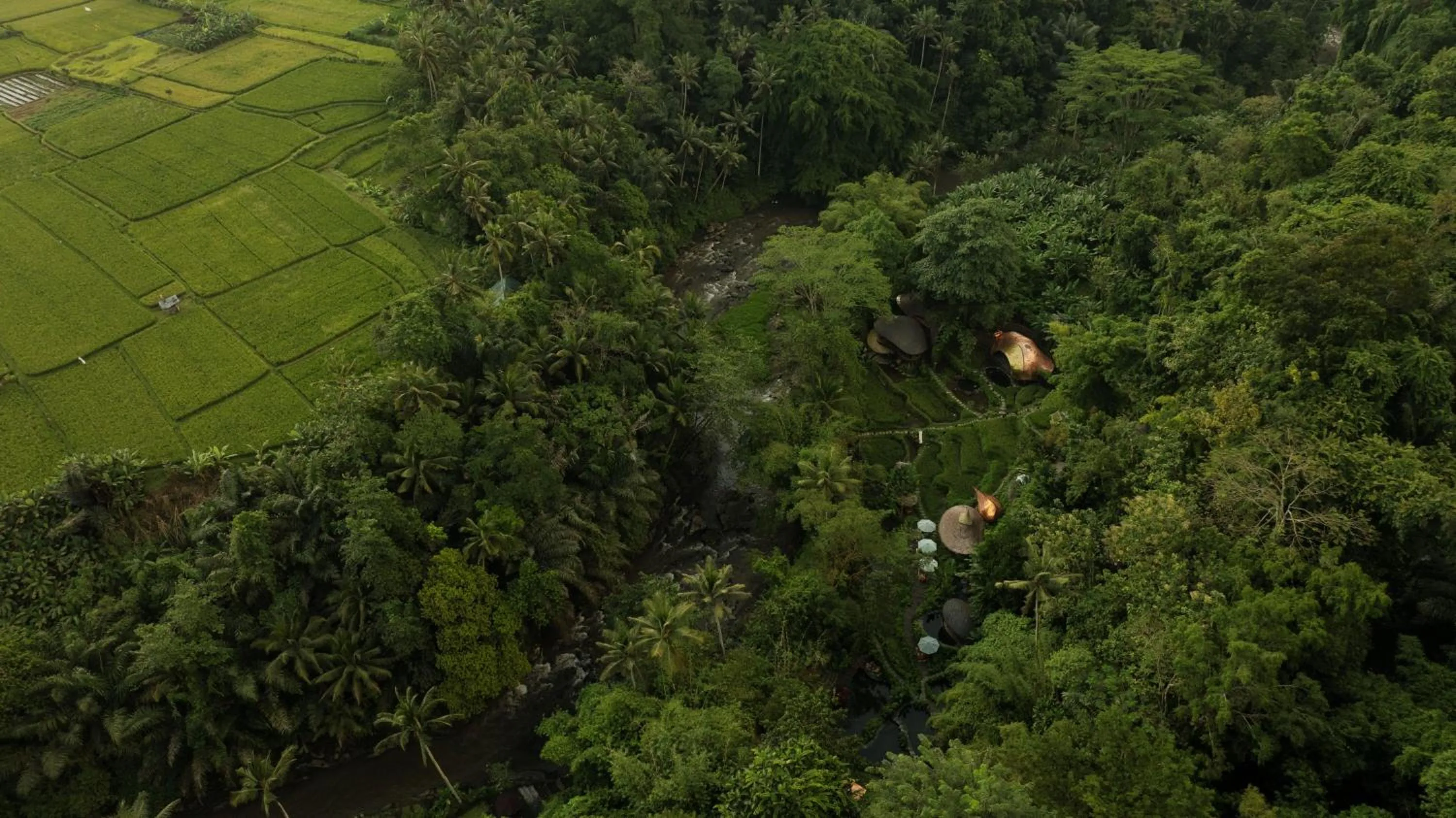 View (from property/room) in Bambu Indah Resort