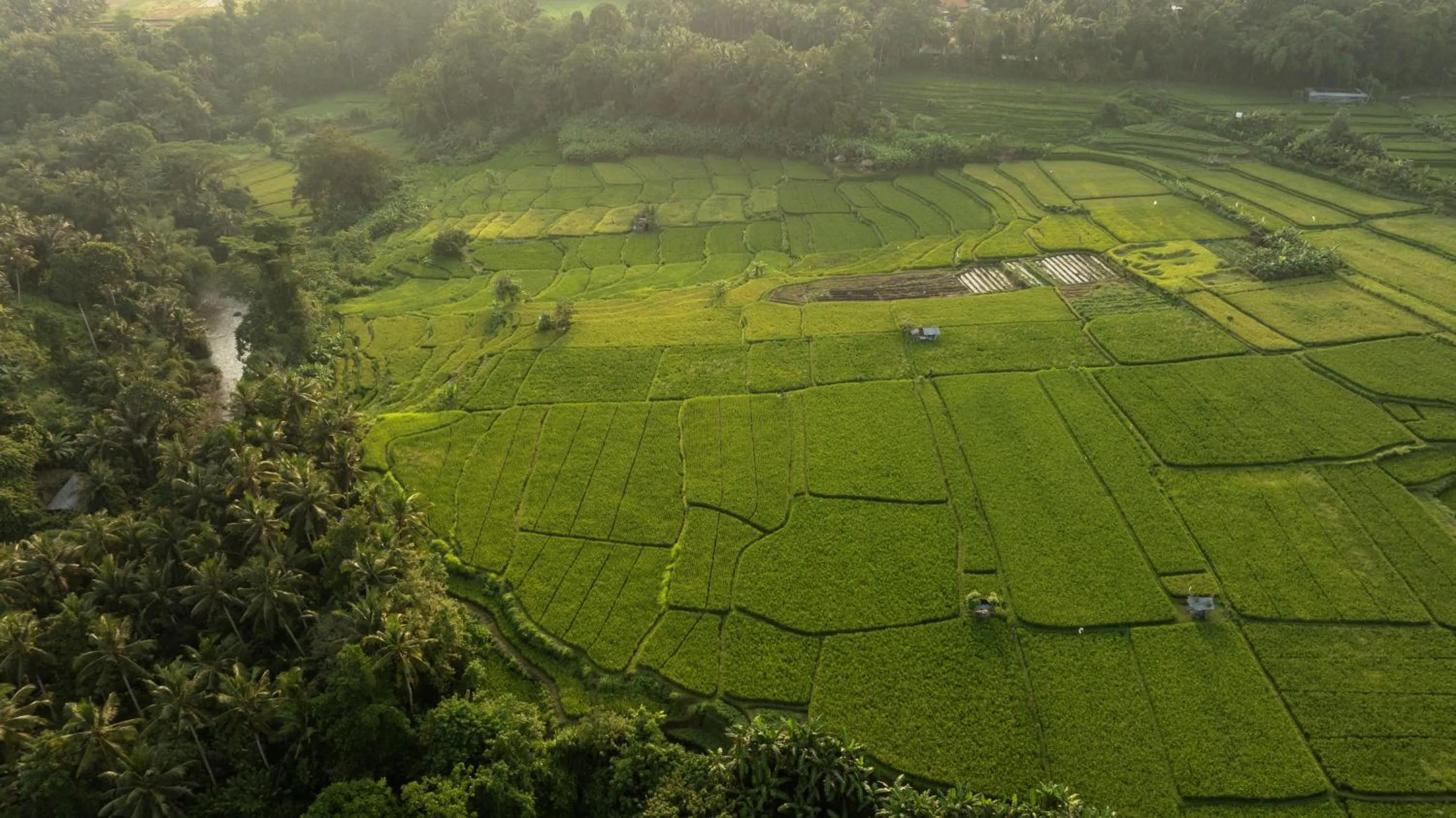 View (from property/room) in Bambu Indah Resort