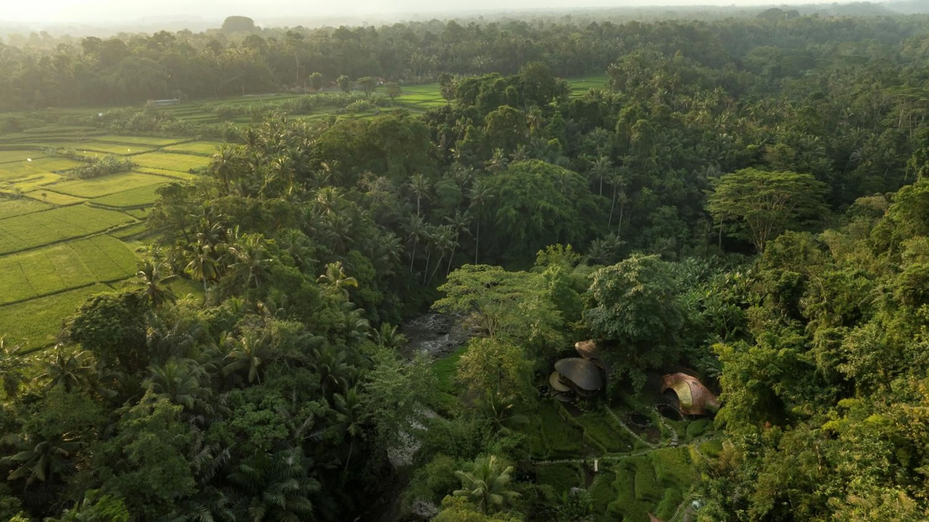 View (from property/room) in Bambu Indah Resort