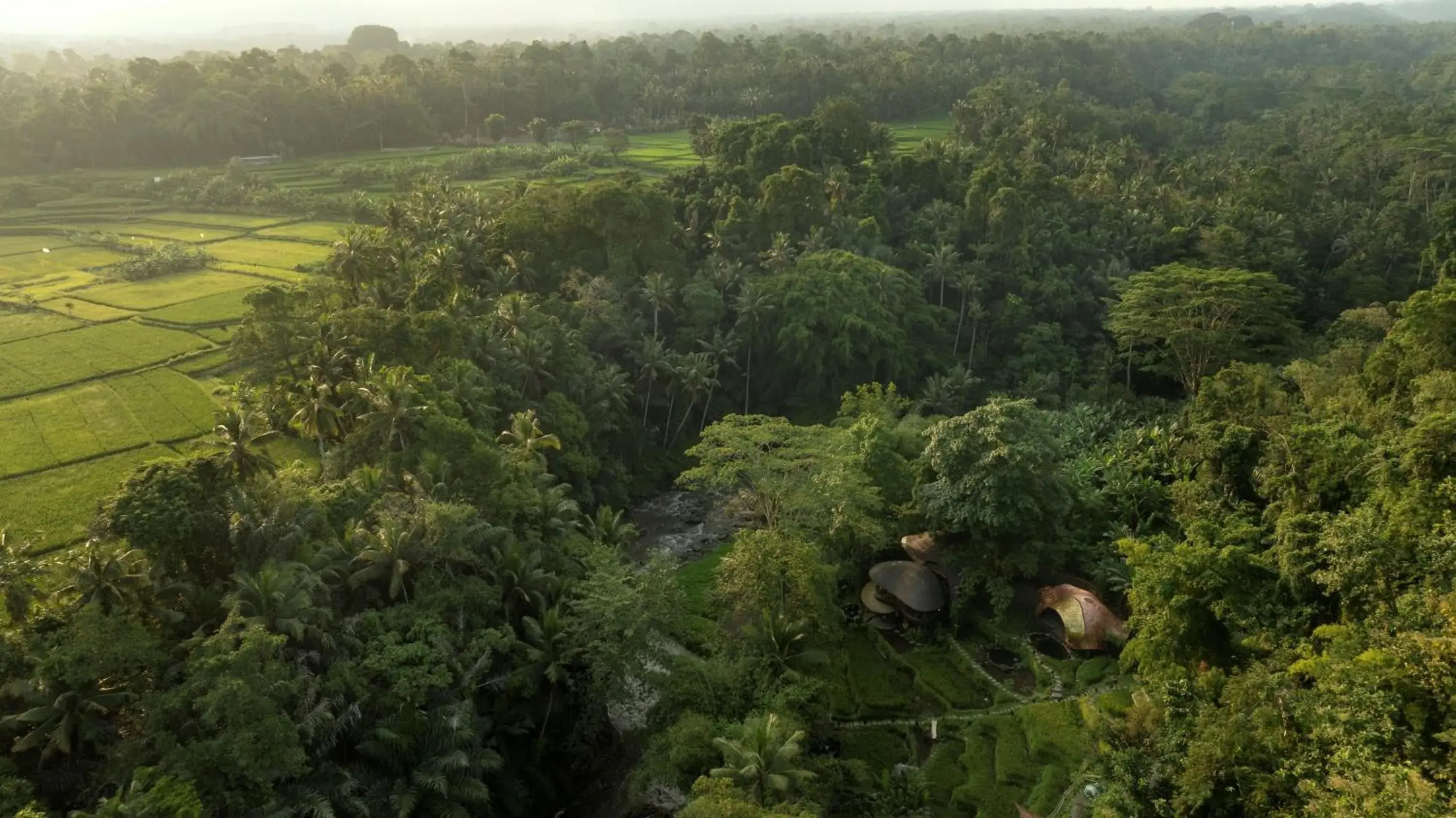 View (from property/room) in Bambu Indah Resort View (from property/room) in Bambu Indah Resort