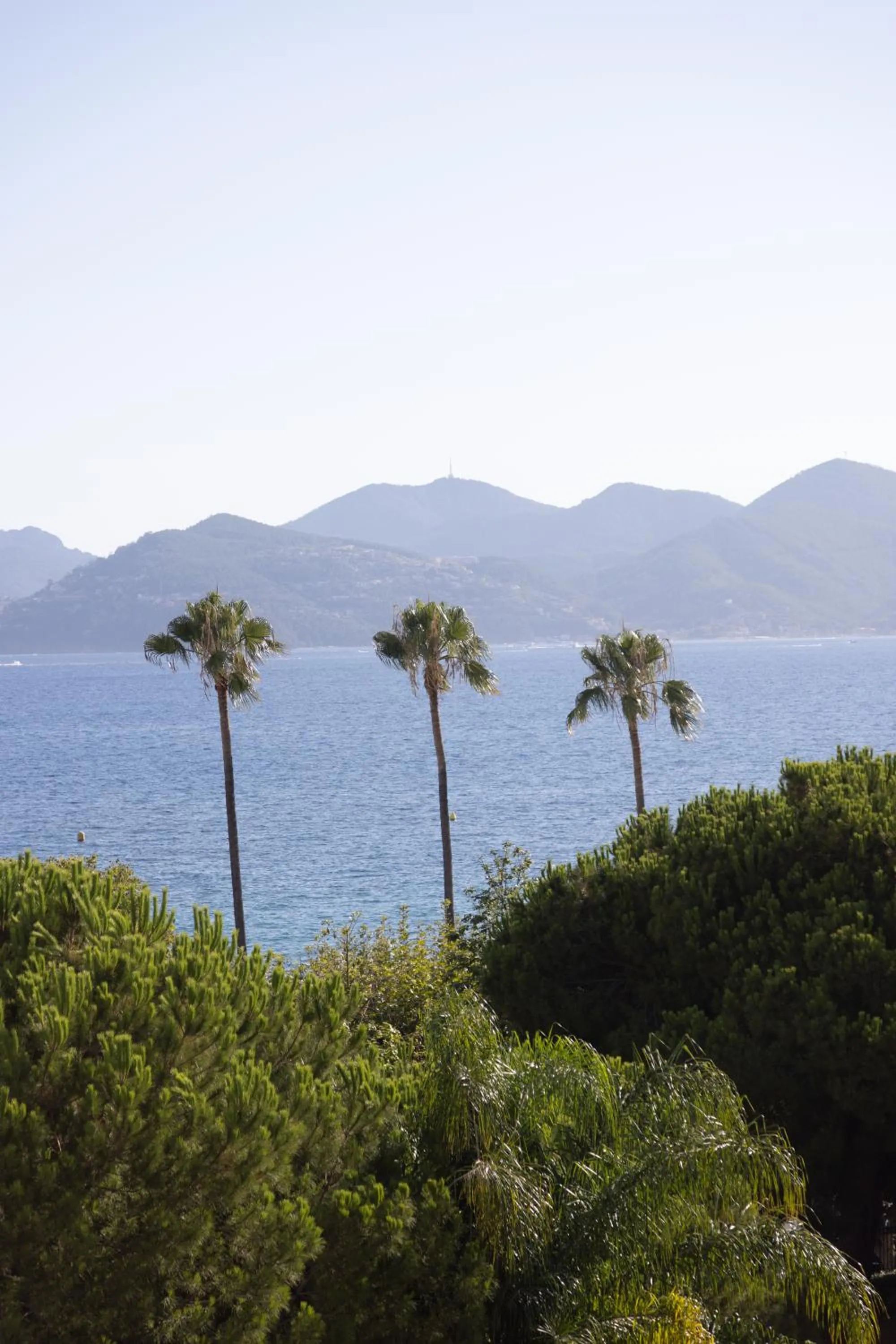 Beach in Hôtel & Spa Belle Plage