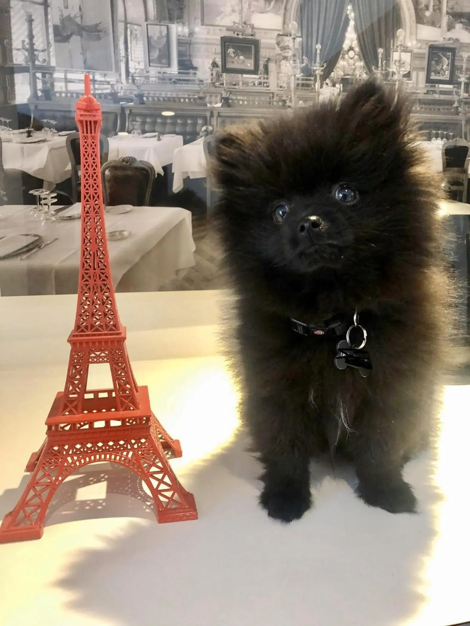 Property building in Hôtel Gustave Colmar Property building in Hôtel Gustave Colmar