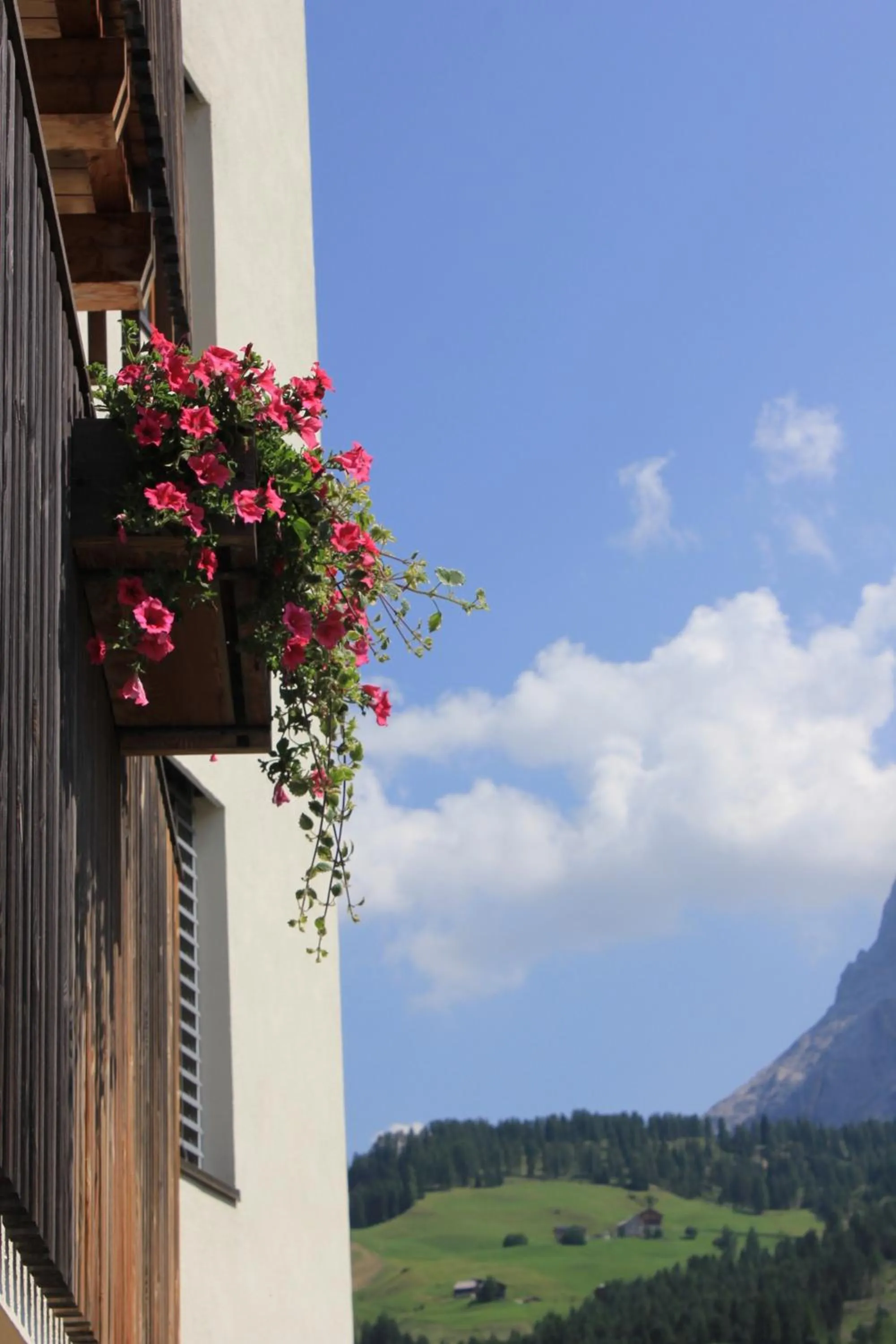 Day in Hotel La Villa