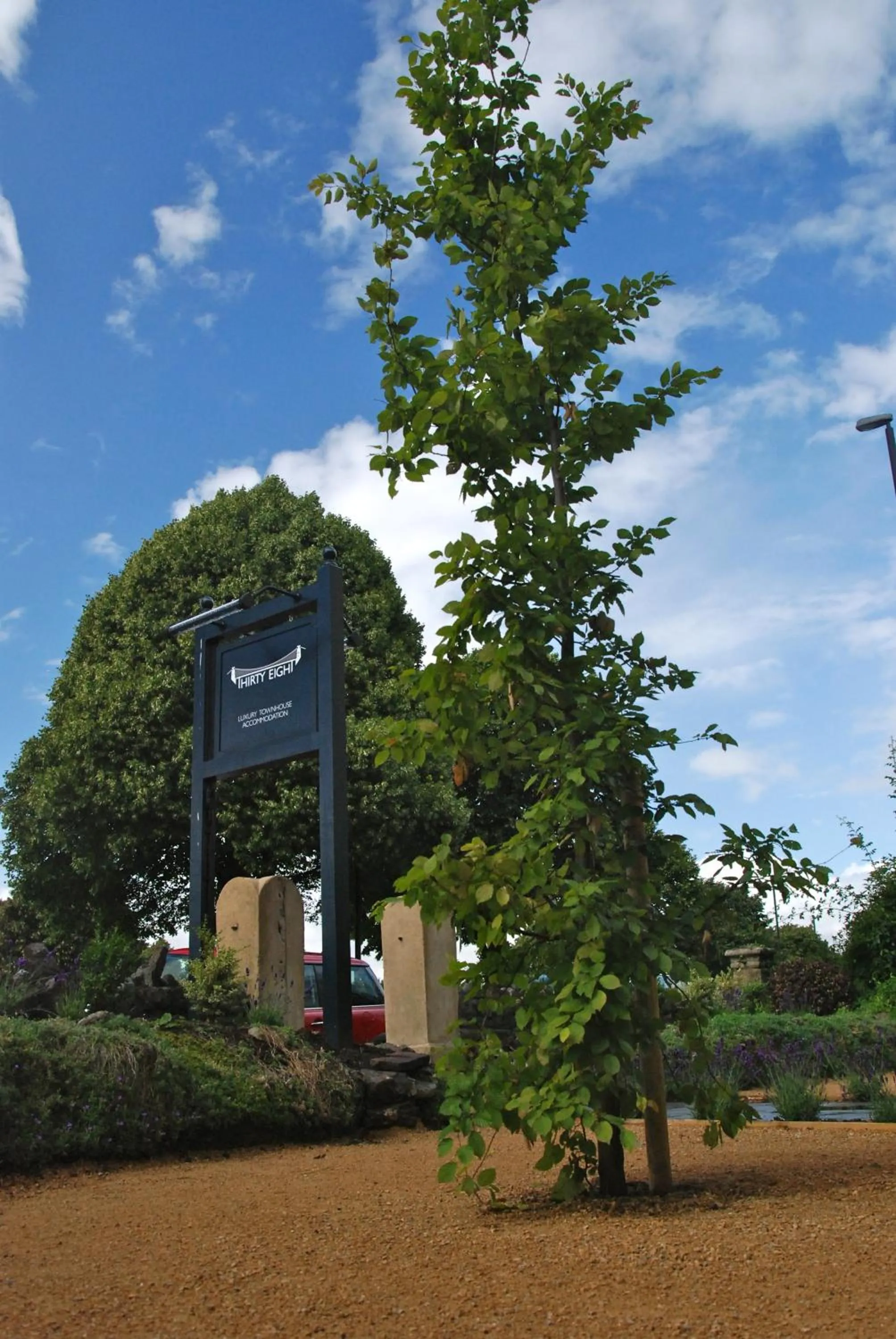 Area and facilities in Number 38 Clifton