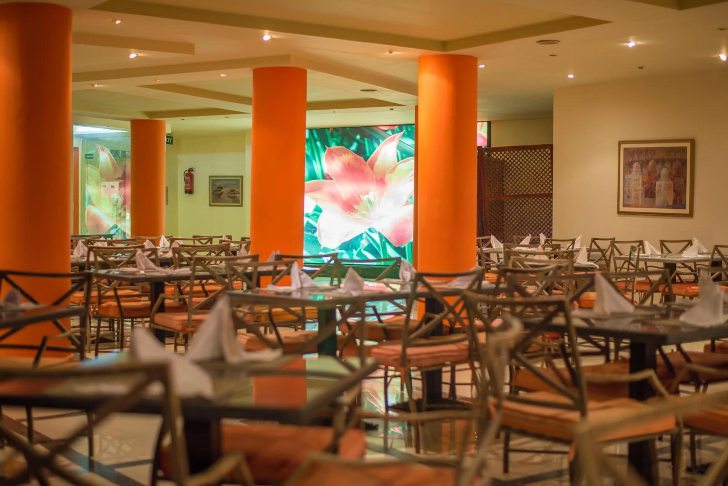 Restaurant/places to eat in Aurora Bay Resort Marsa Alam