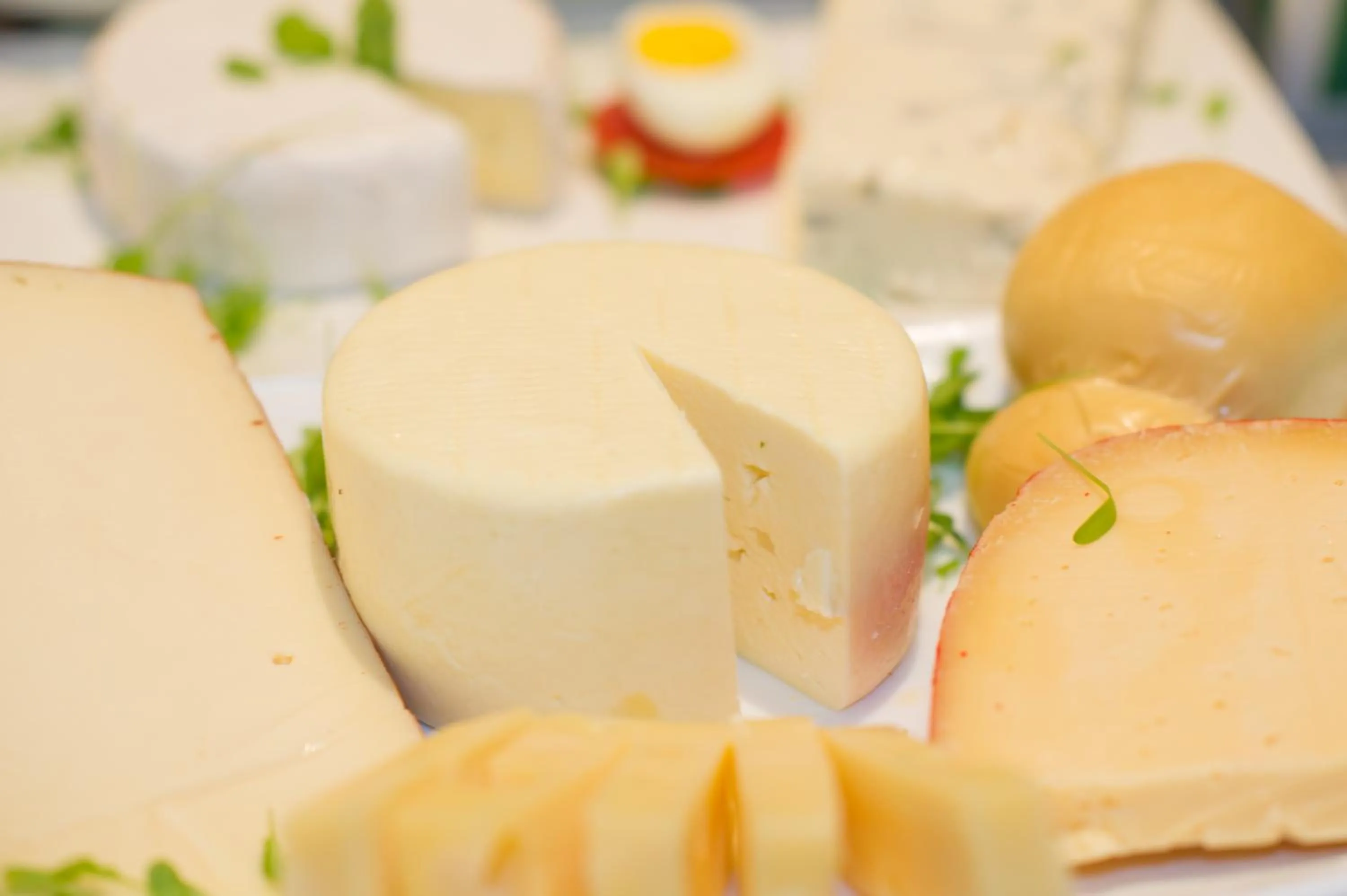 Food close-up in Panorama