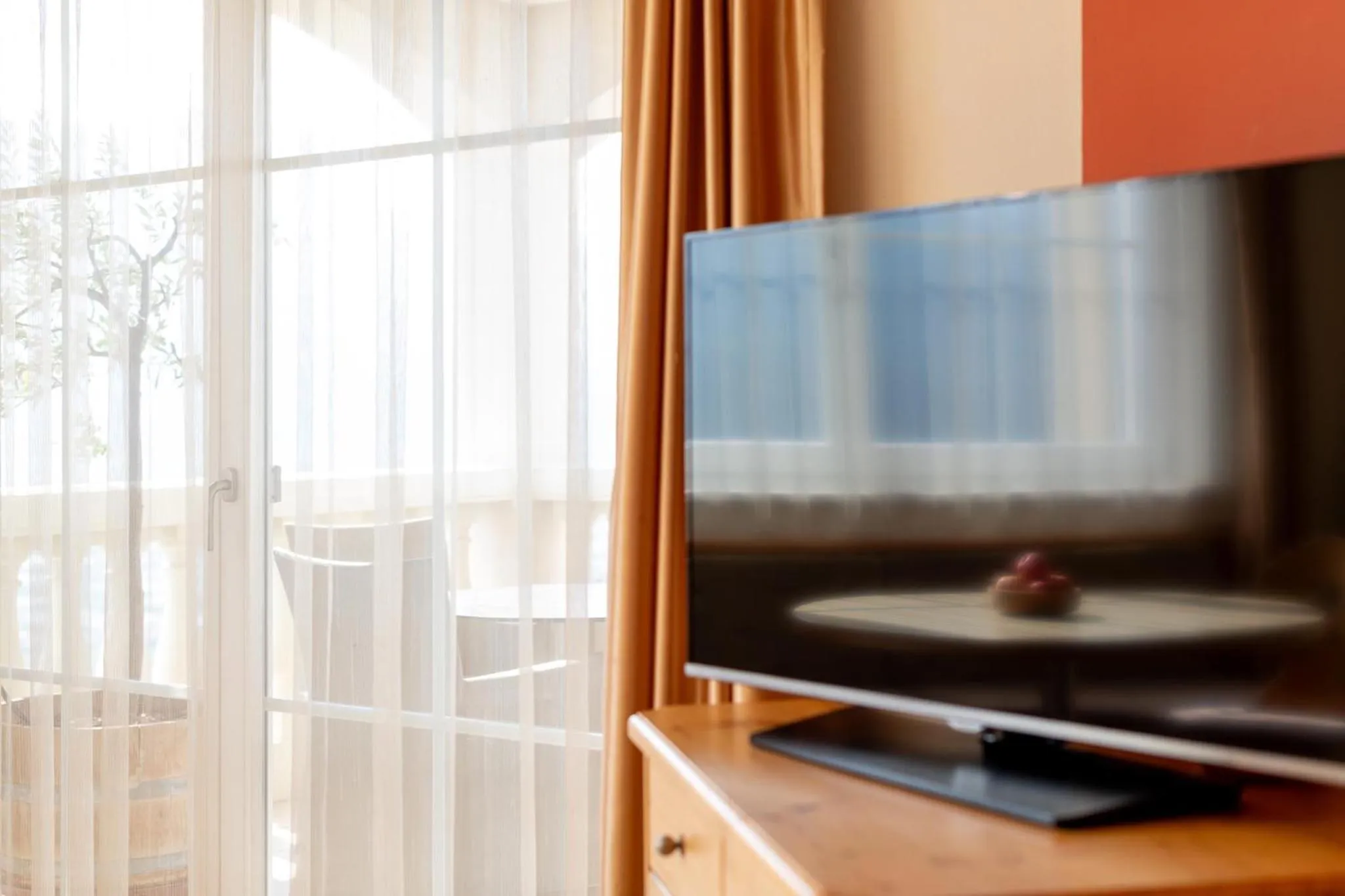 TV and multimedia in Panorama