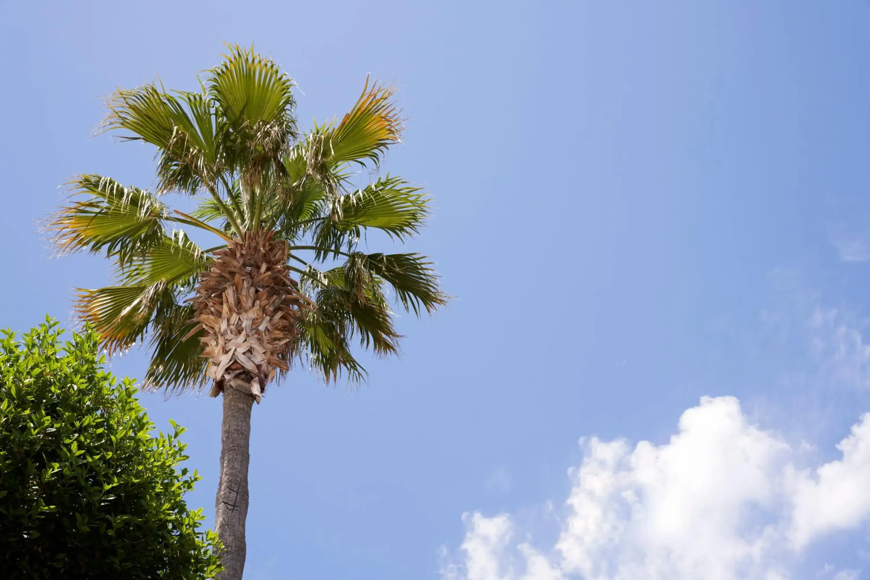 View (from property/room) in Xenia Poros Image Hotel View (from property/room) in Xenia Poros Image Hotel